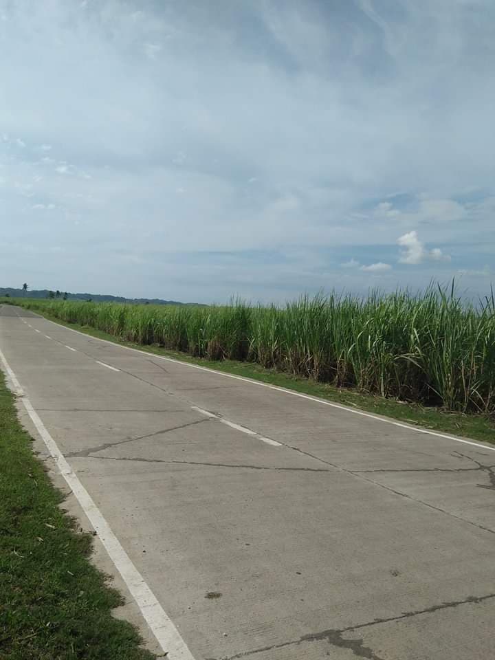 Affordable lot for sale - photo 2