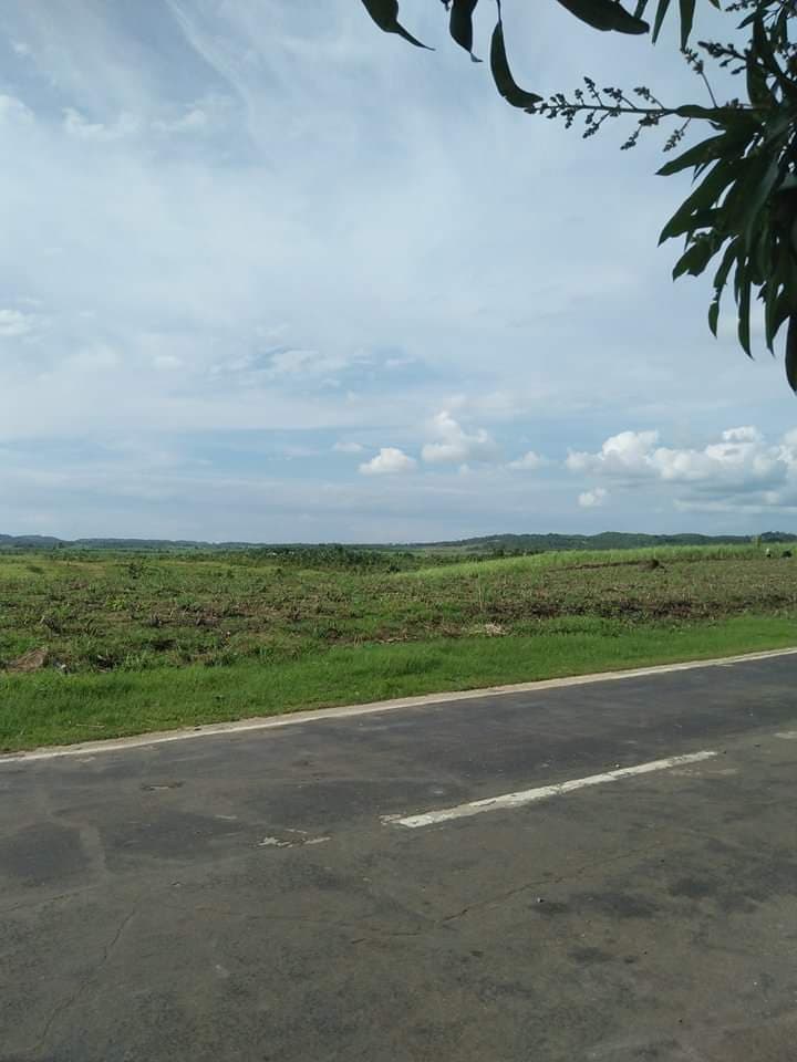 Affordable lot for sale - photo 6