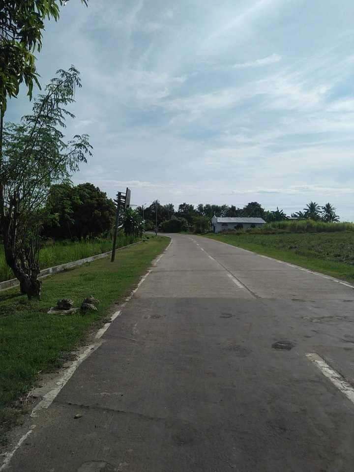 Affordable lot for sale - photo 5