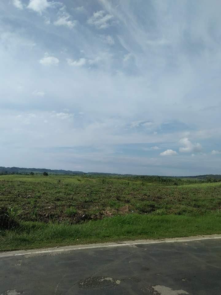 Affordable lot for sale - photo 3