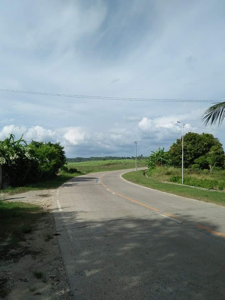 Affordable lot for sale - photo 7