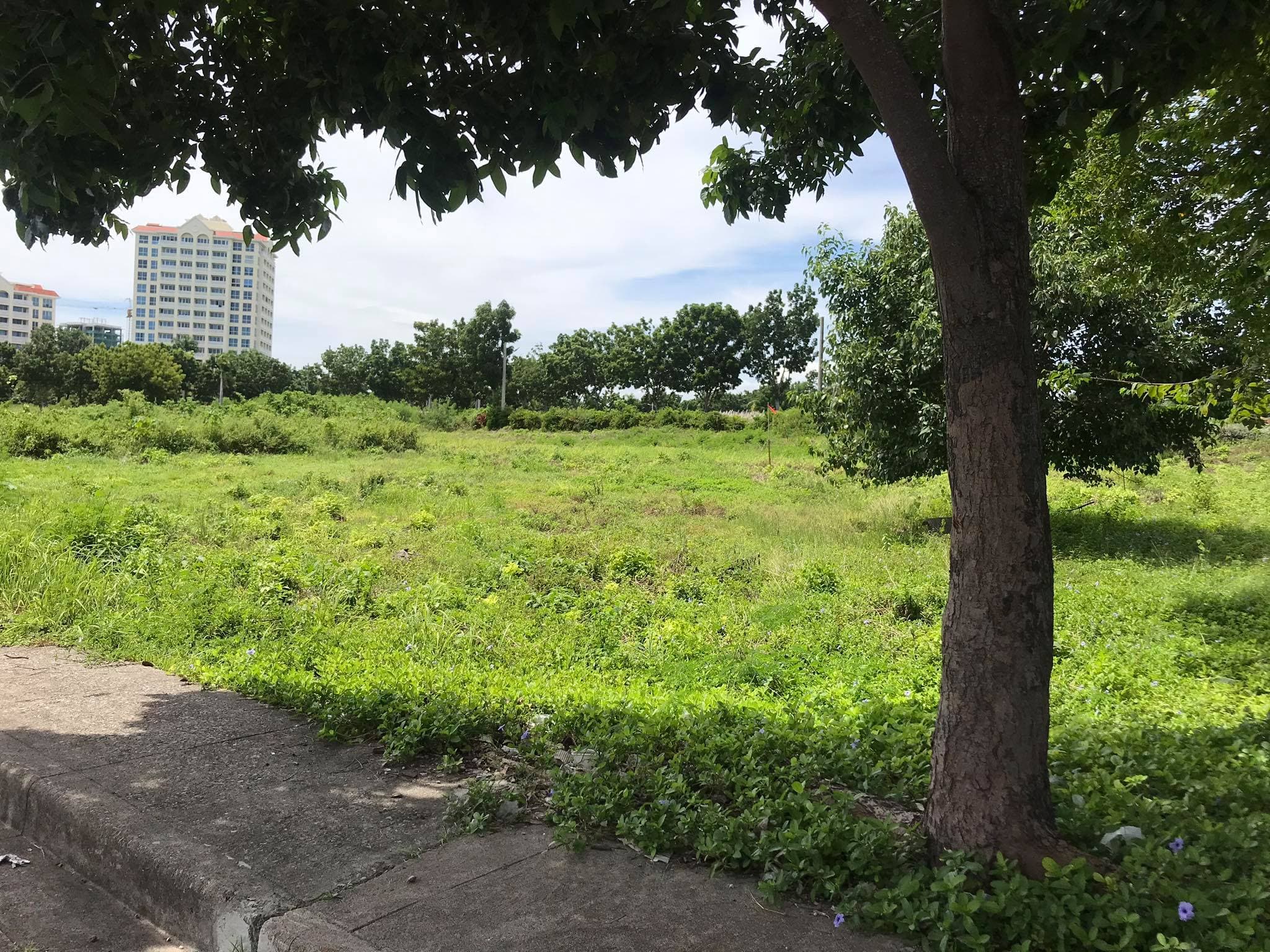 Beach lot for sale - photo 4