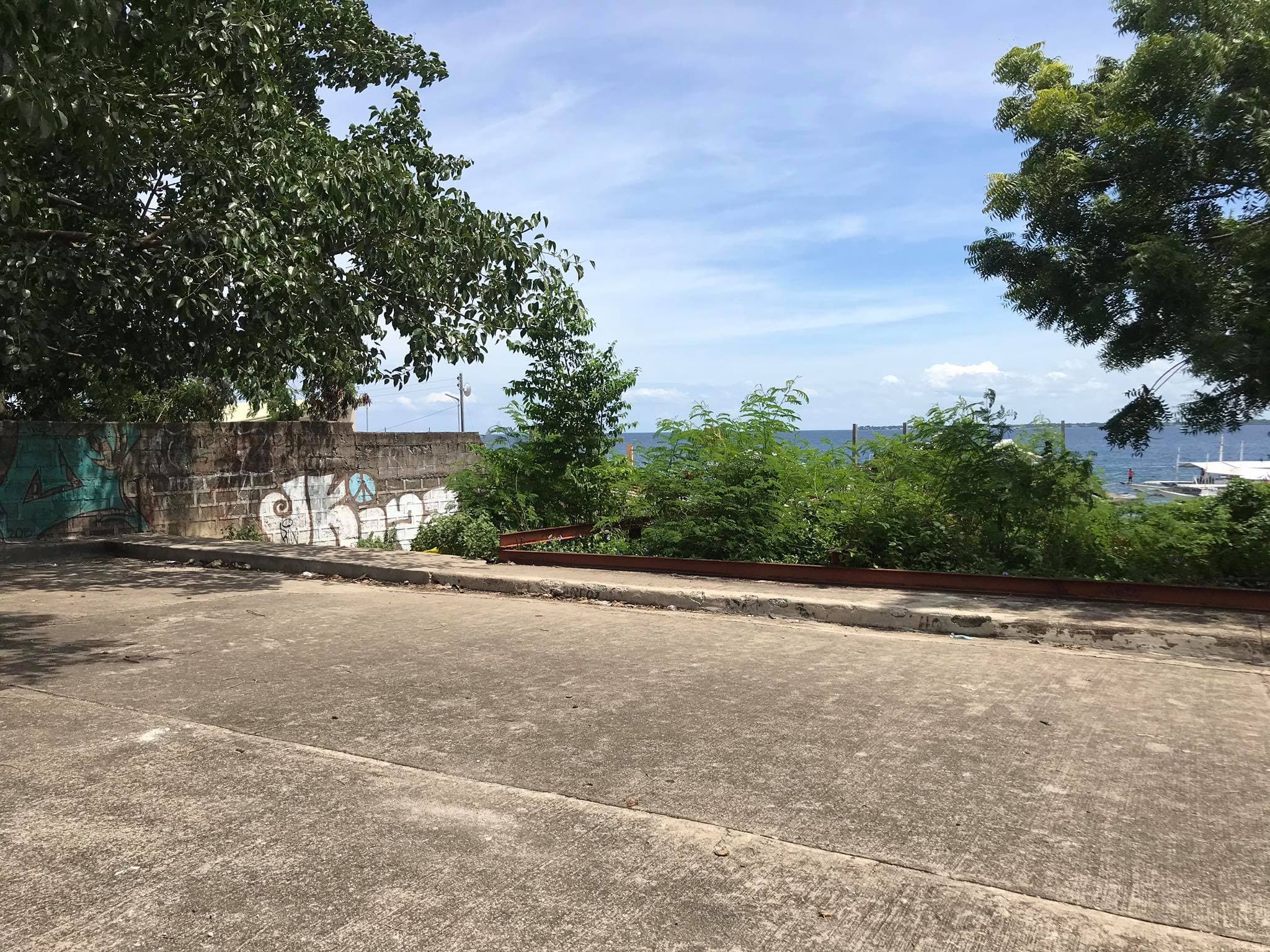 Beach lot for sale - photo 5