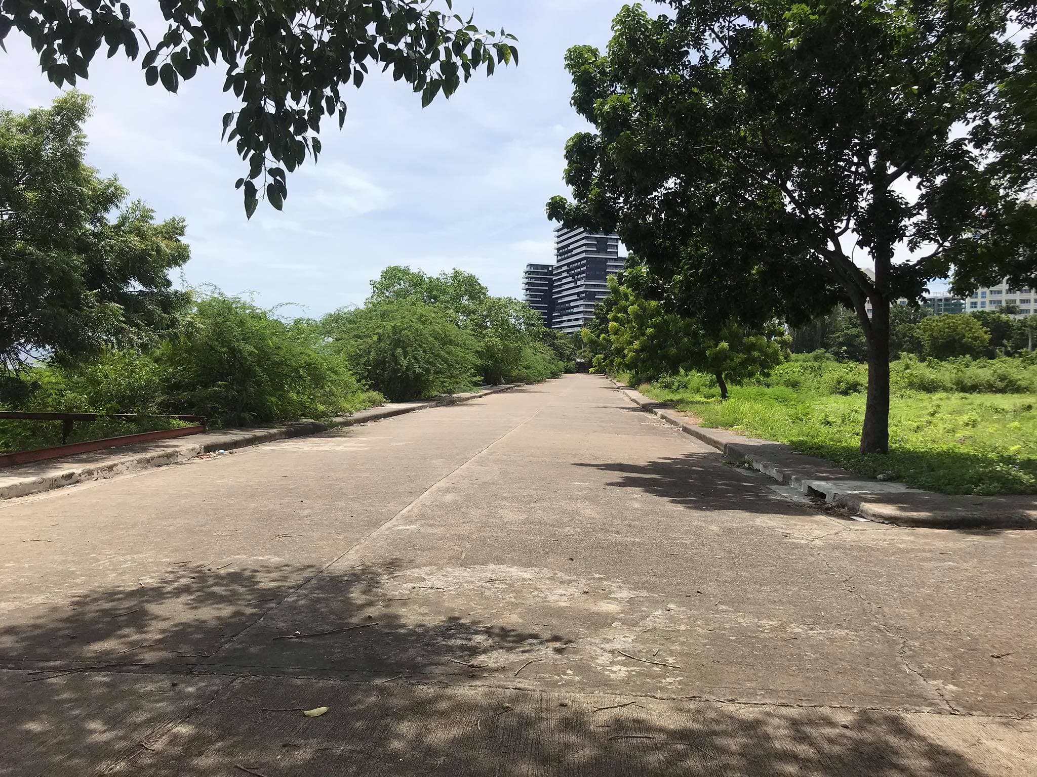 Beach lot for sale - photo 6