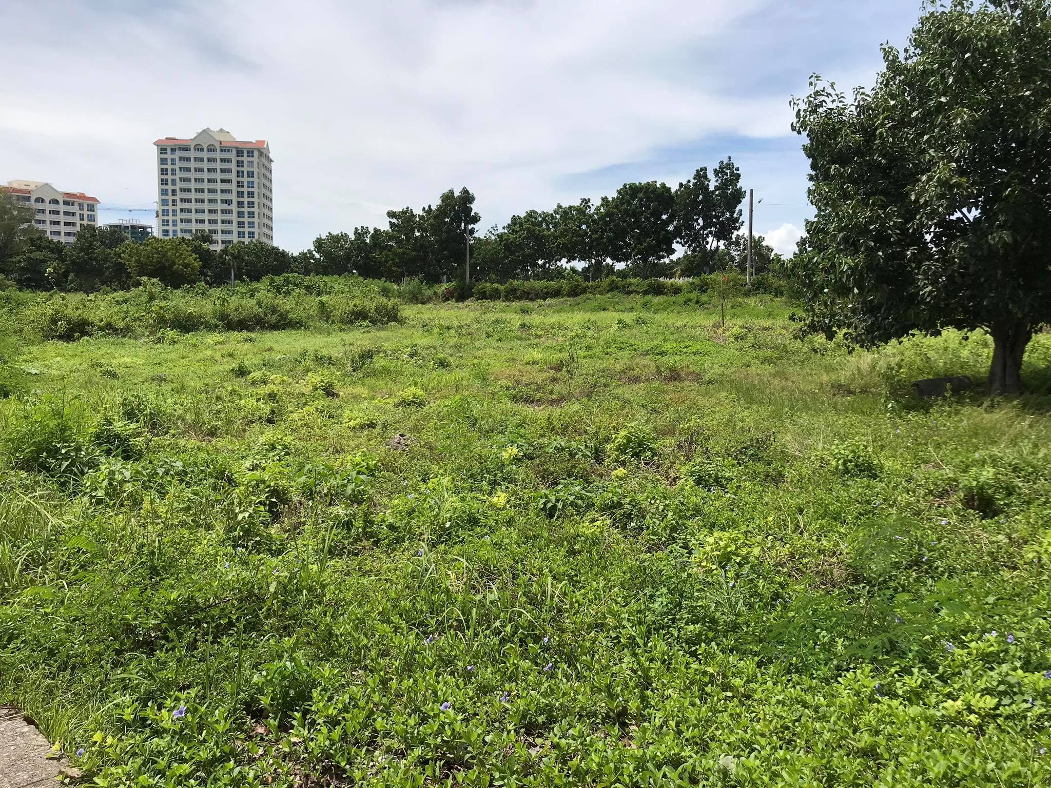 Beach lot for sale - photo 2