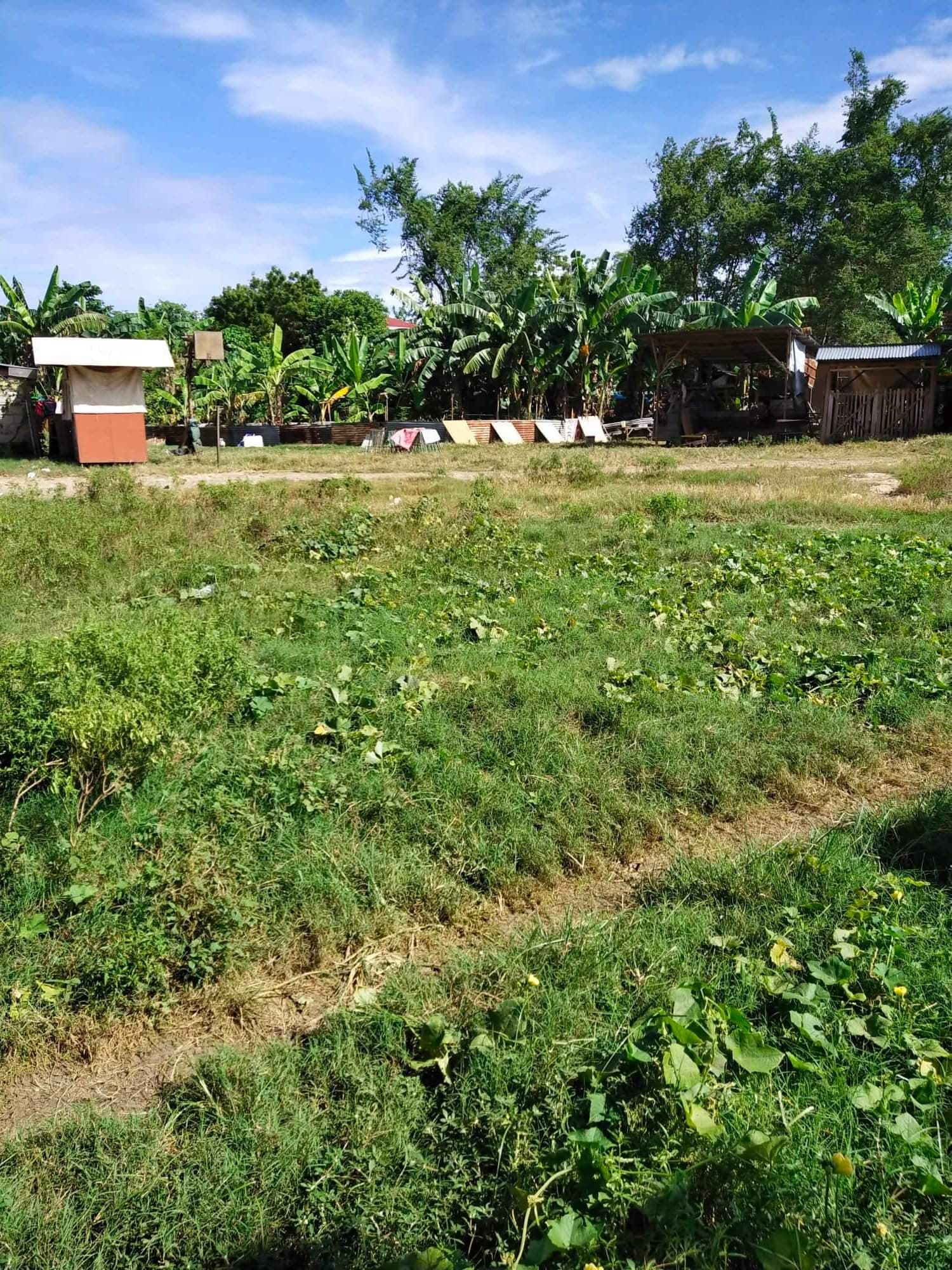 Affordable lot for sale - photo 2