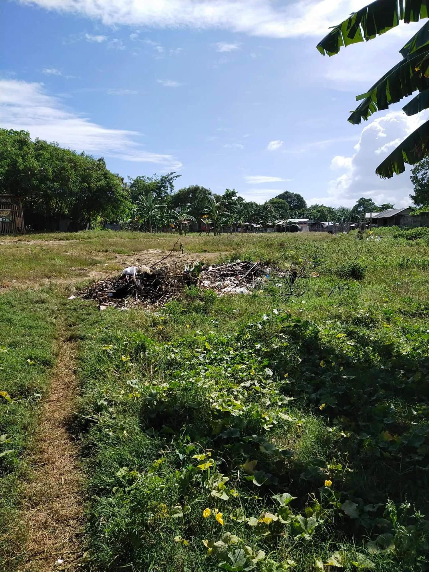 Affordable lot for sale - photo 4