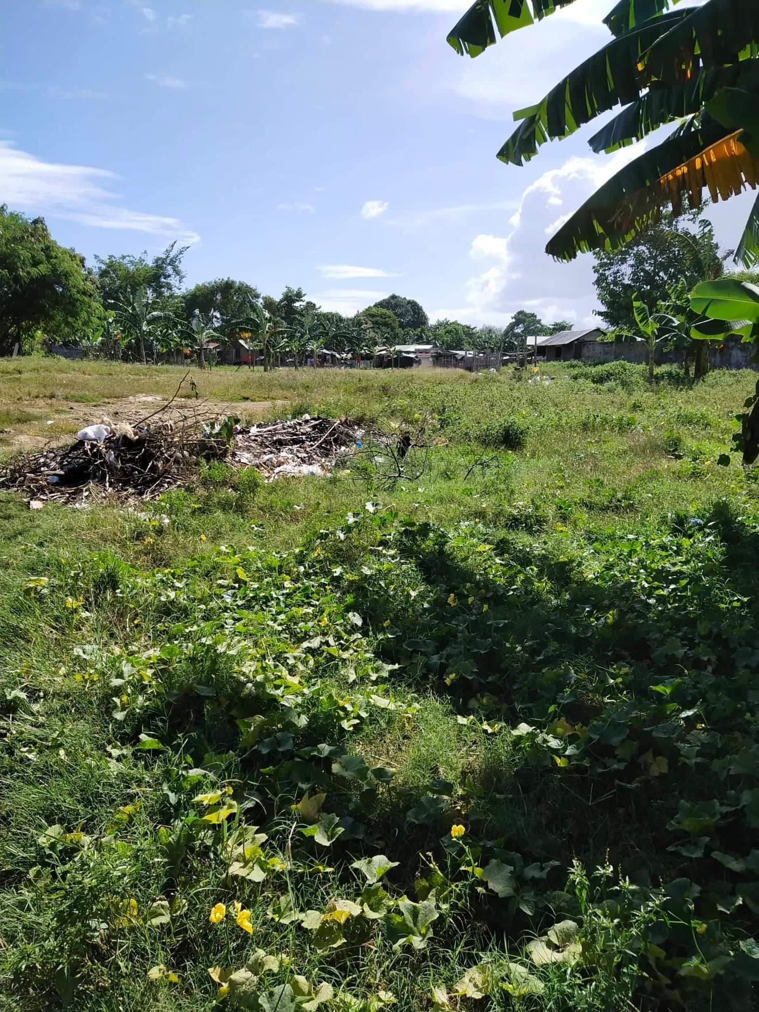 Affordable lot for sale - photo 3