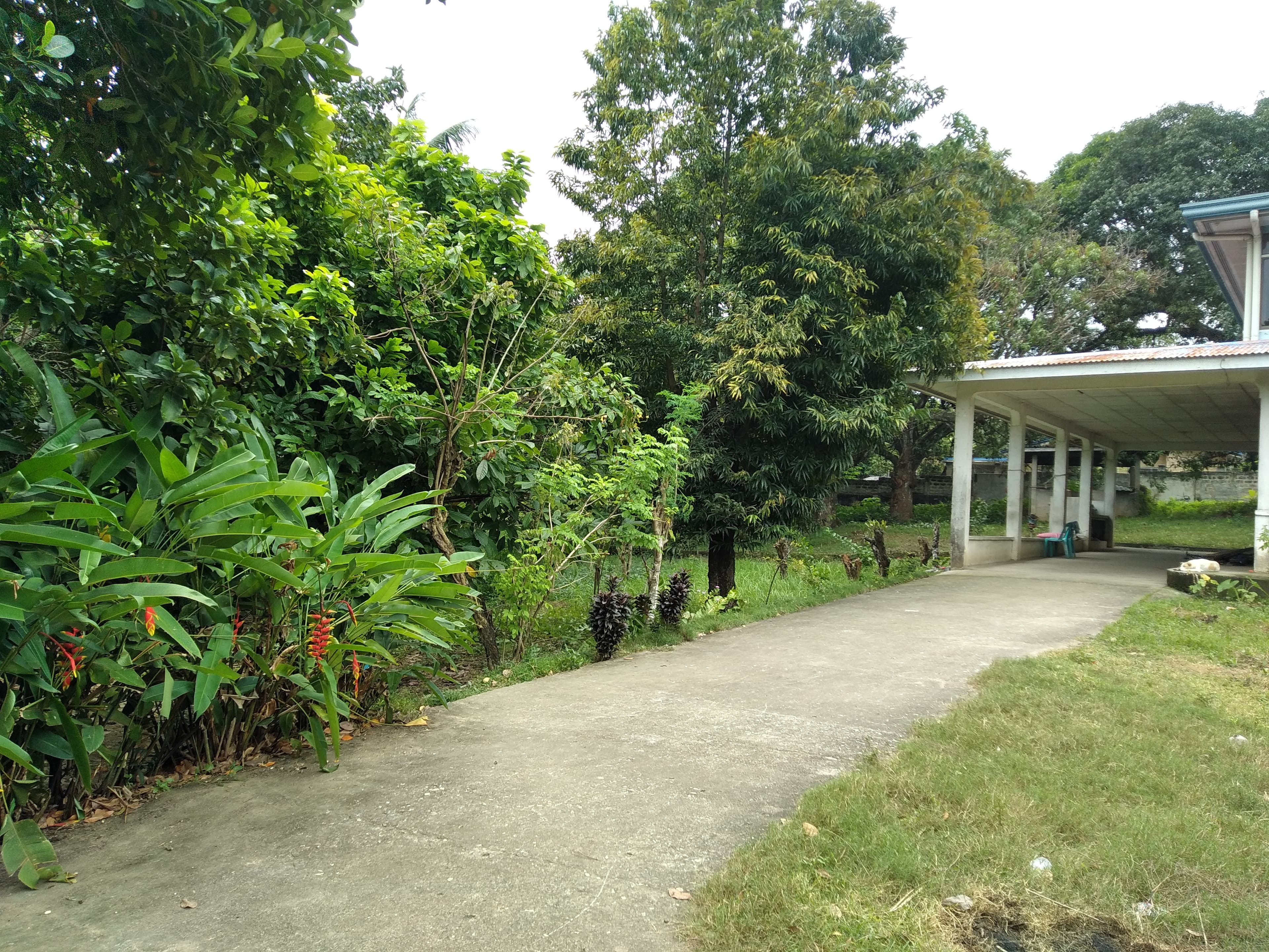 Affordable Industrial Lot - photo 3