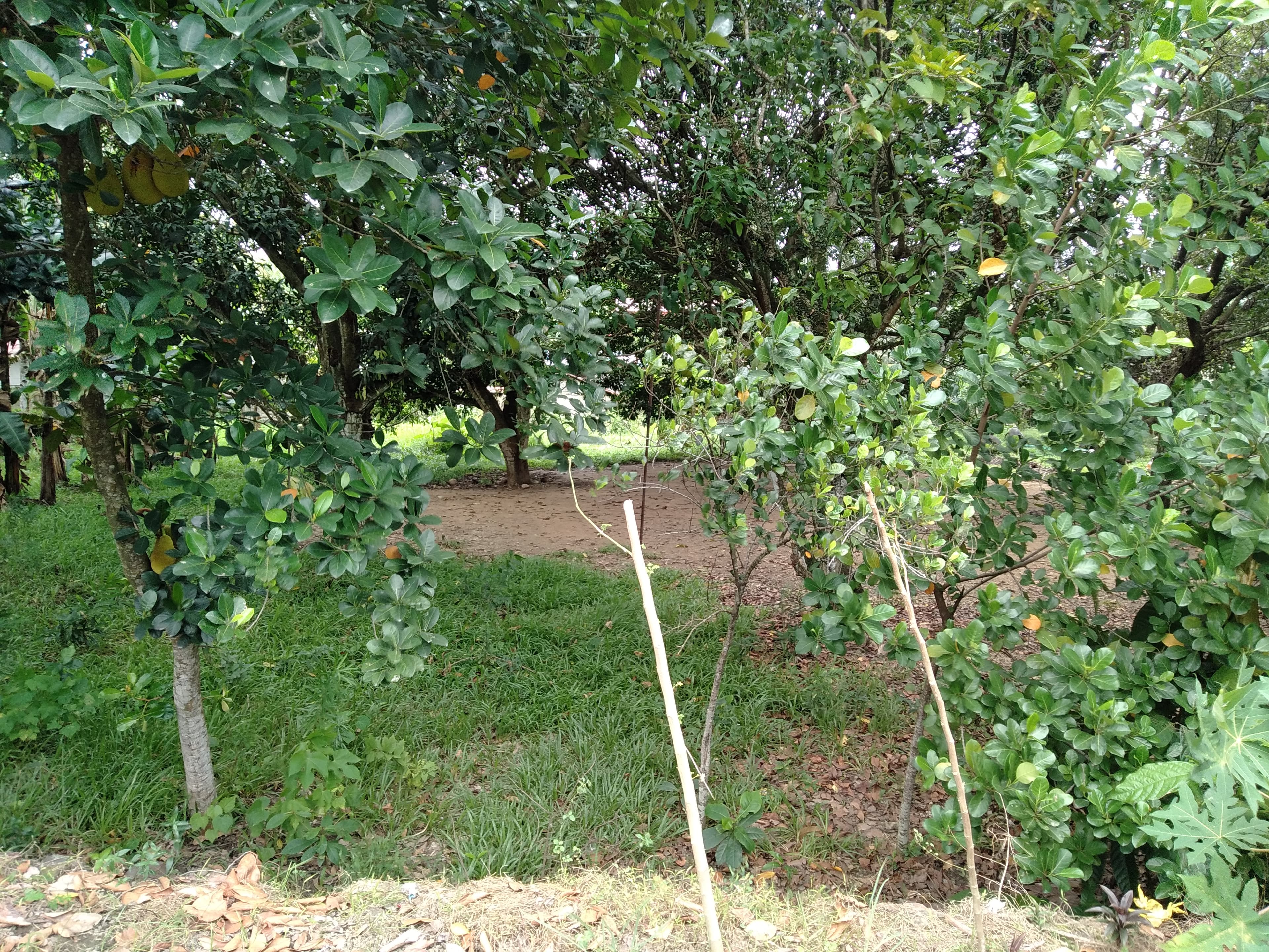 Affordable Industrial Lot - photo 5