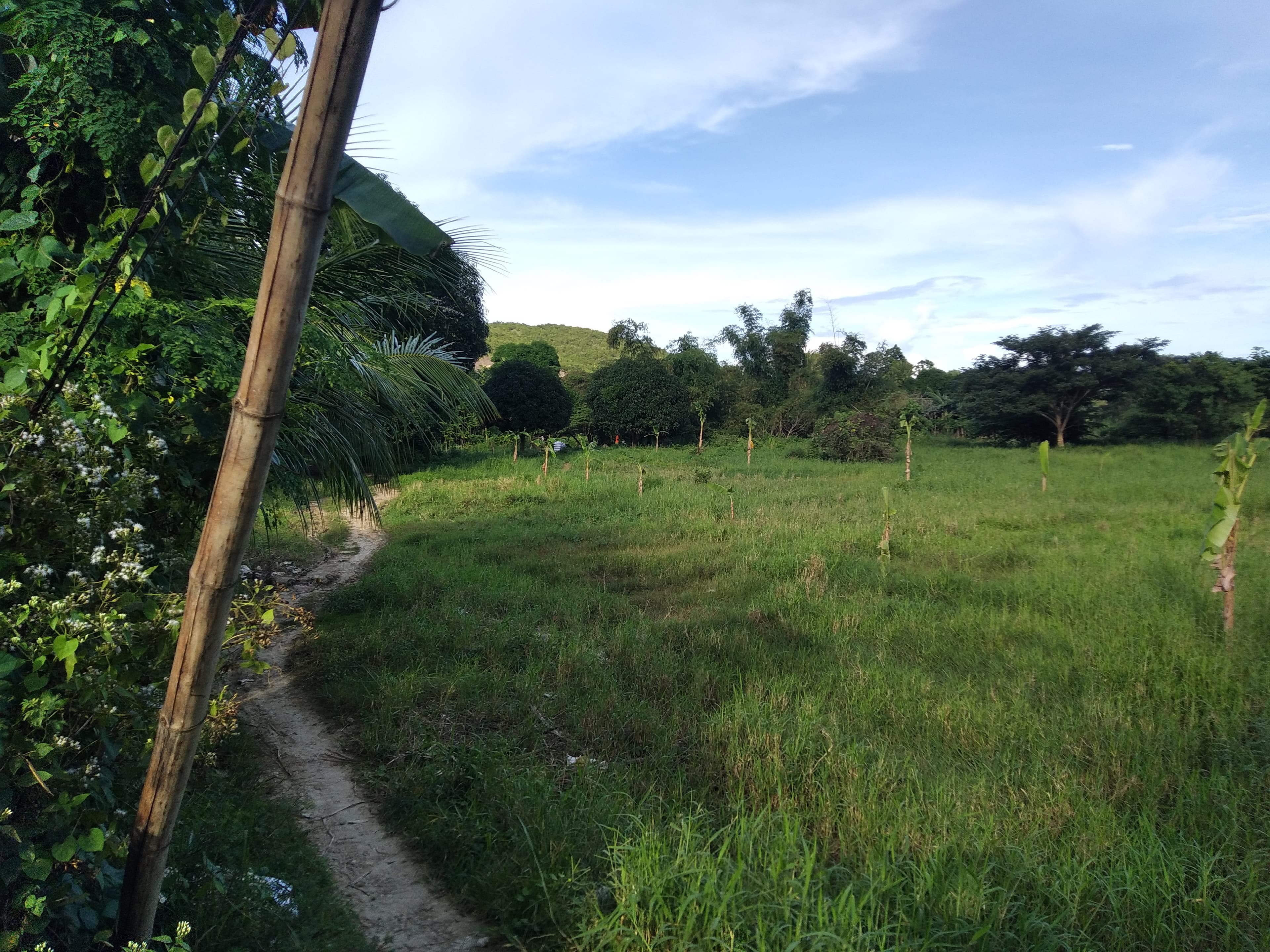 Affordable Industrial Lot - photo 2