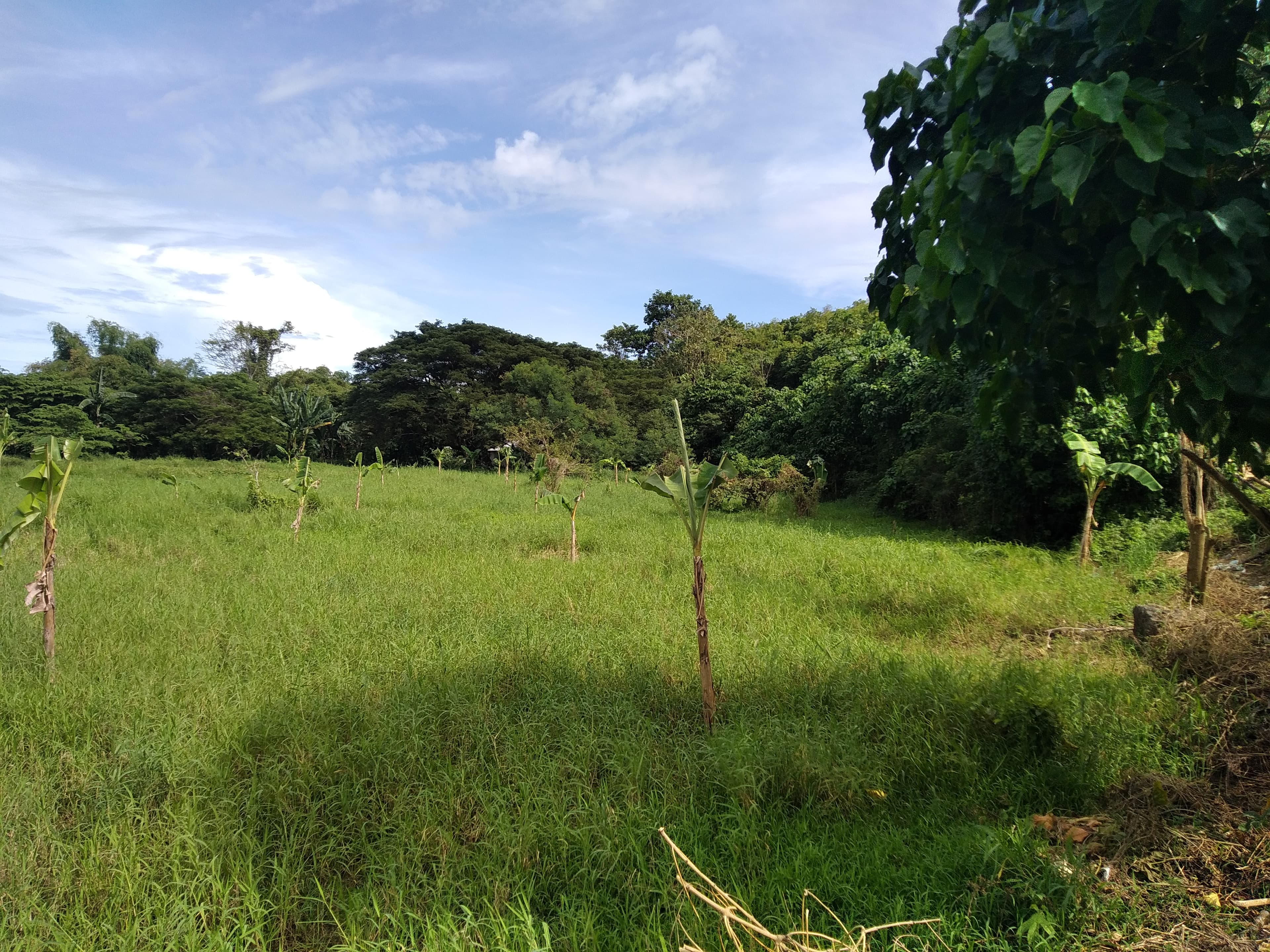 Affordable Industrial Lot - photo 4