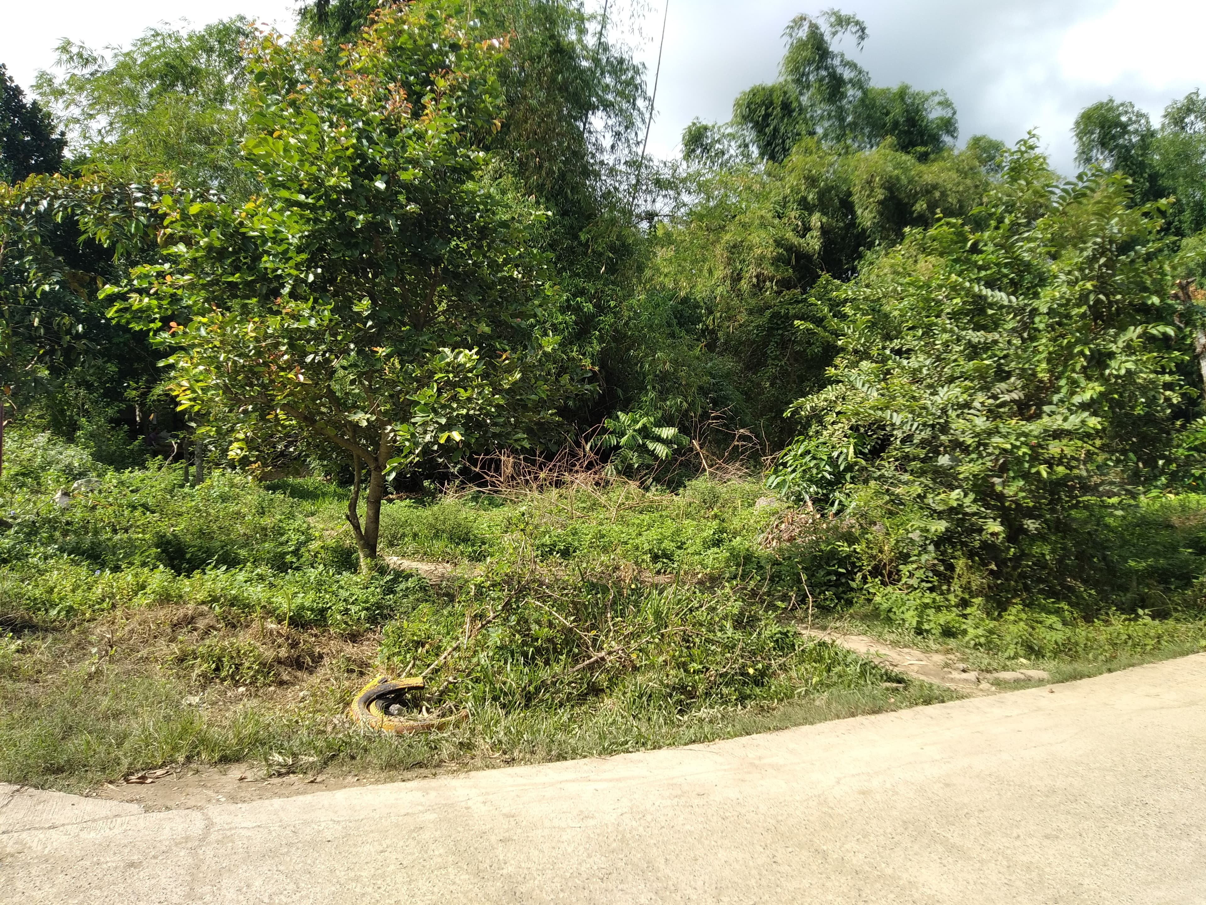 Affordable Industrial Lot - photo 7