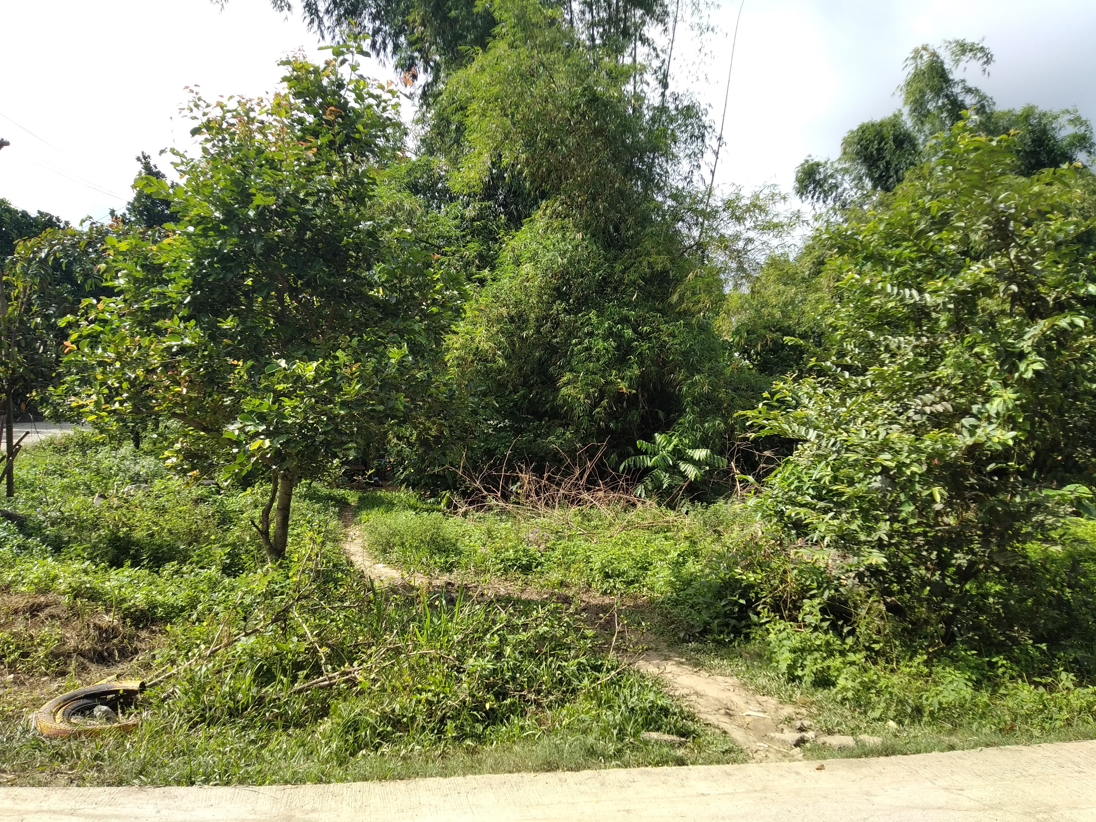 Affordable Industrial Lot - photo 6