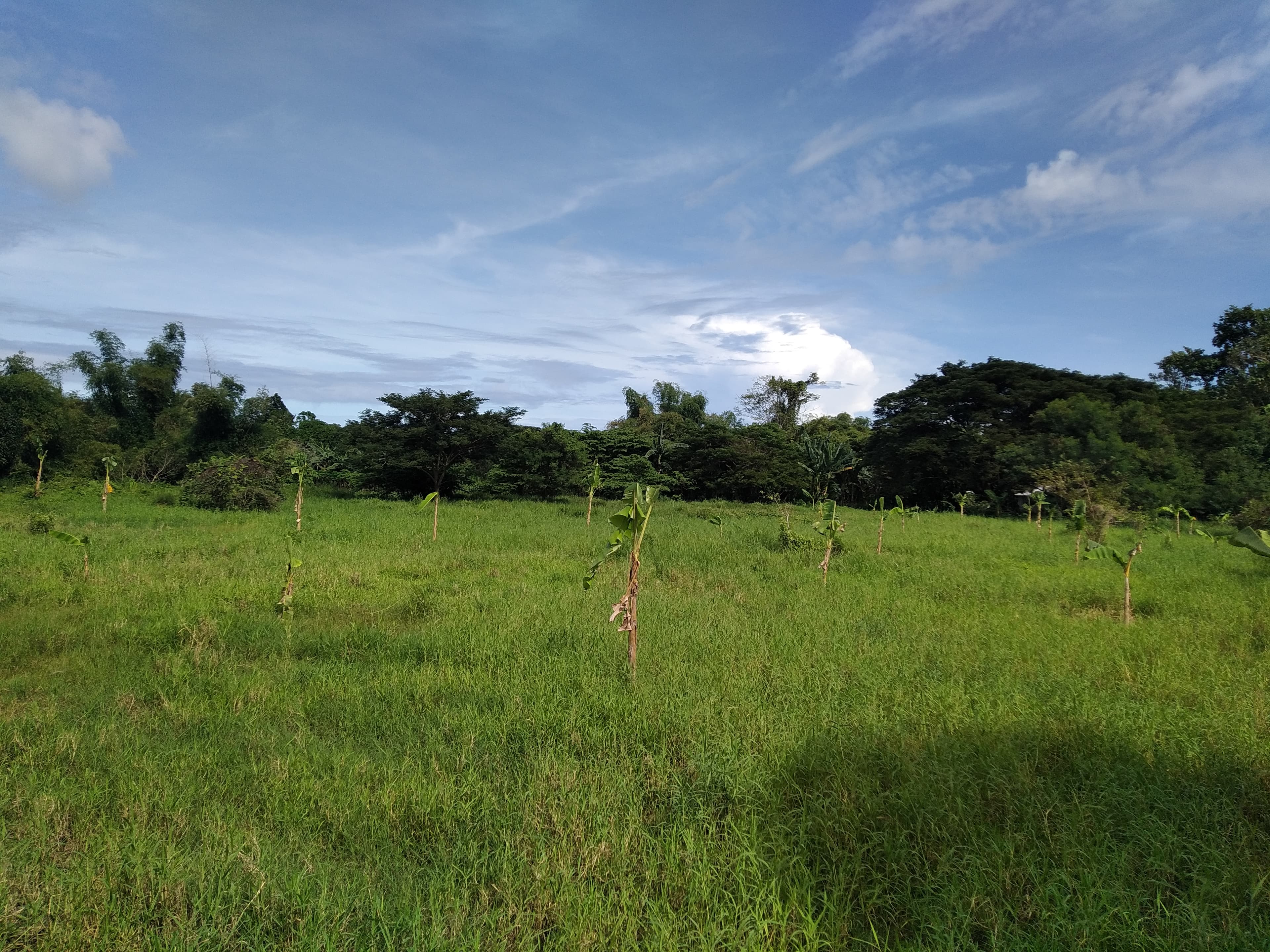 Affordable Industrial Lot - photo 3