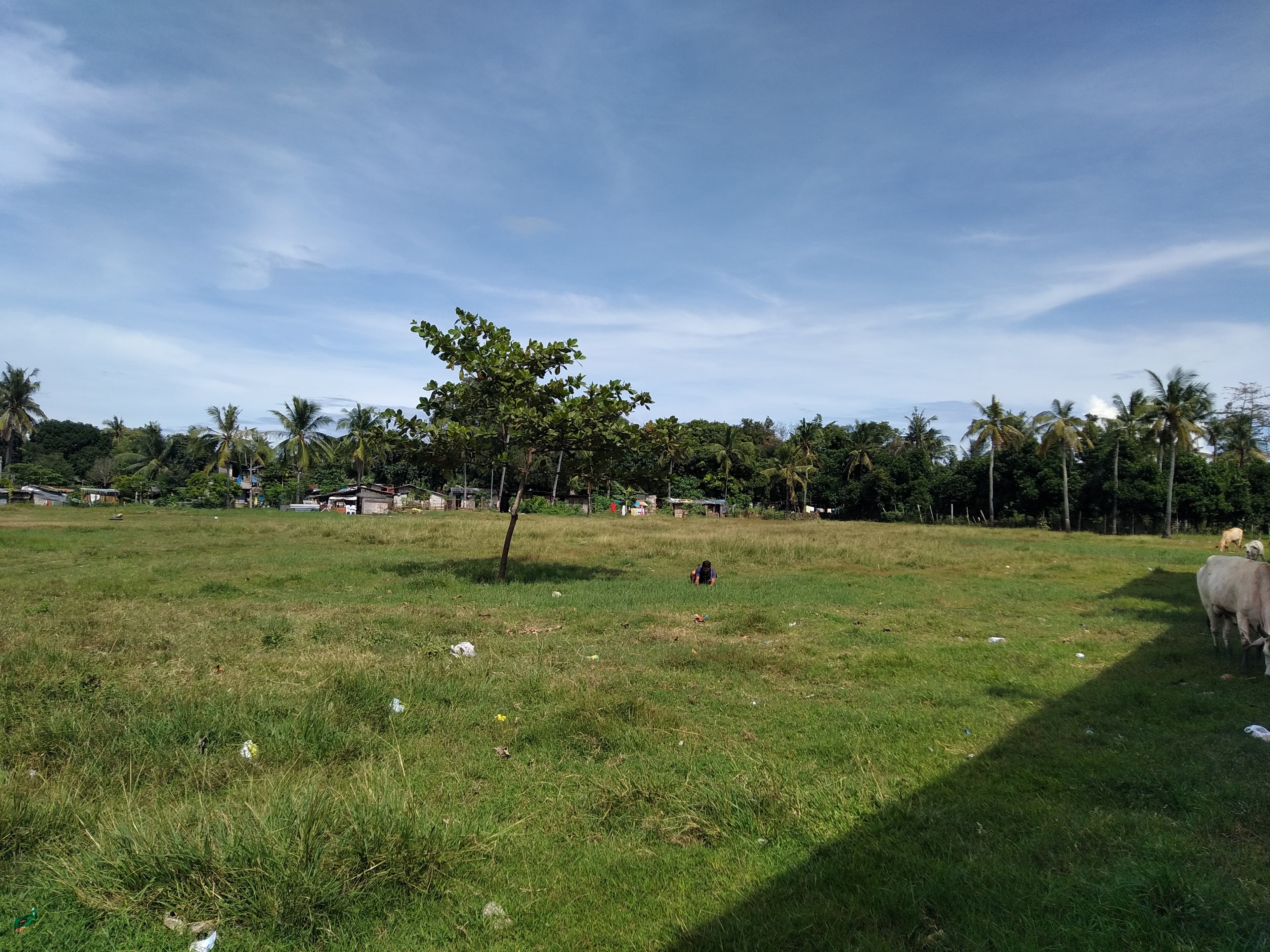 Industrial Lot for sale - photo 4