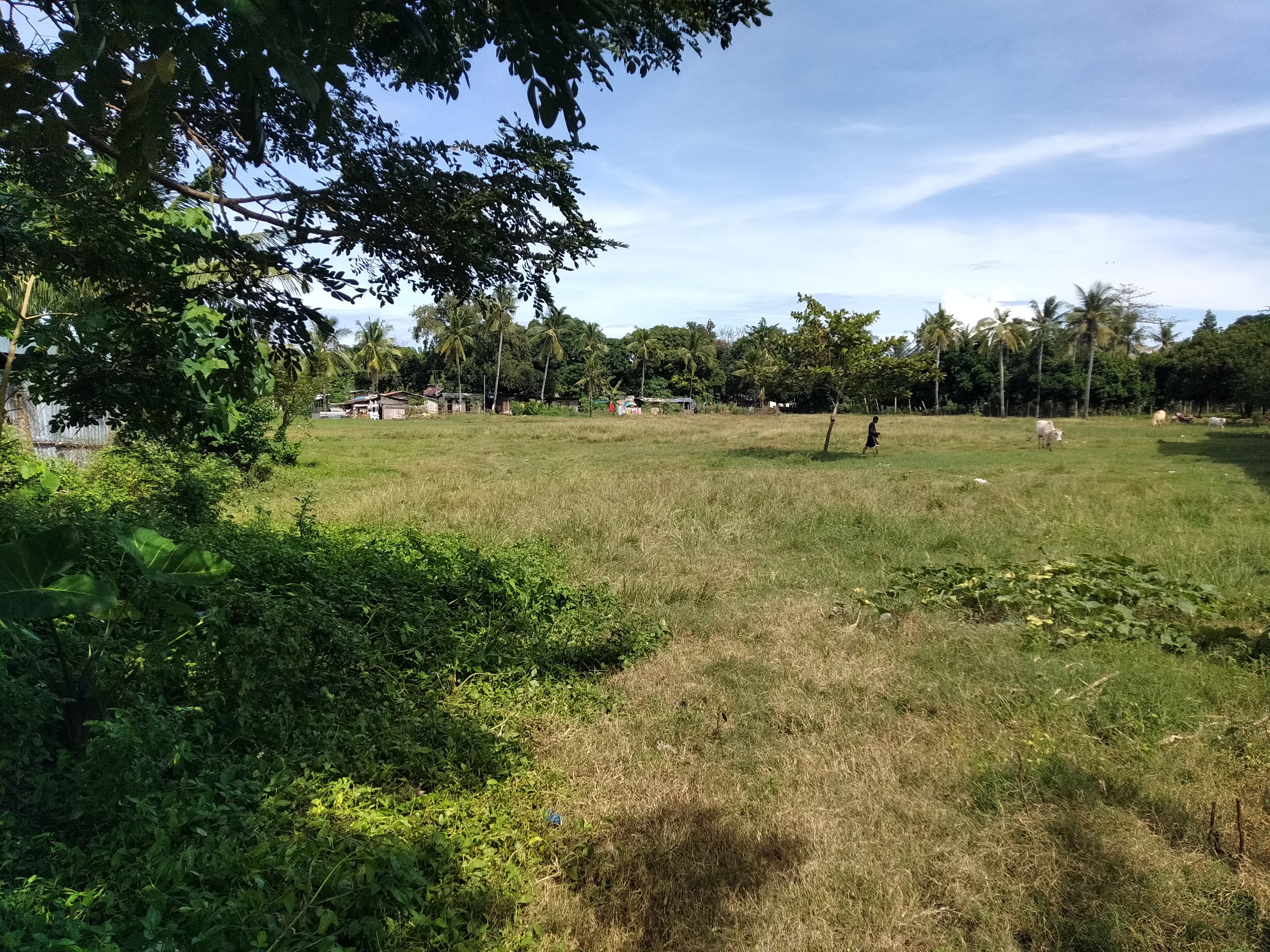 Industrial Lot for sale - photo 7