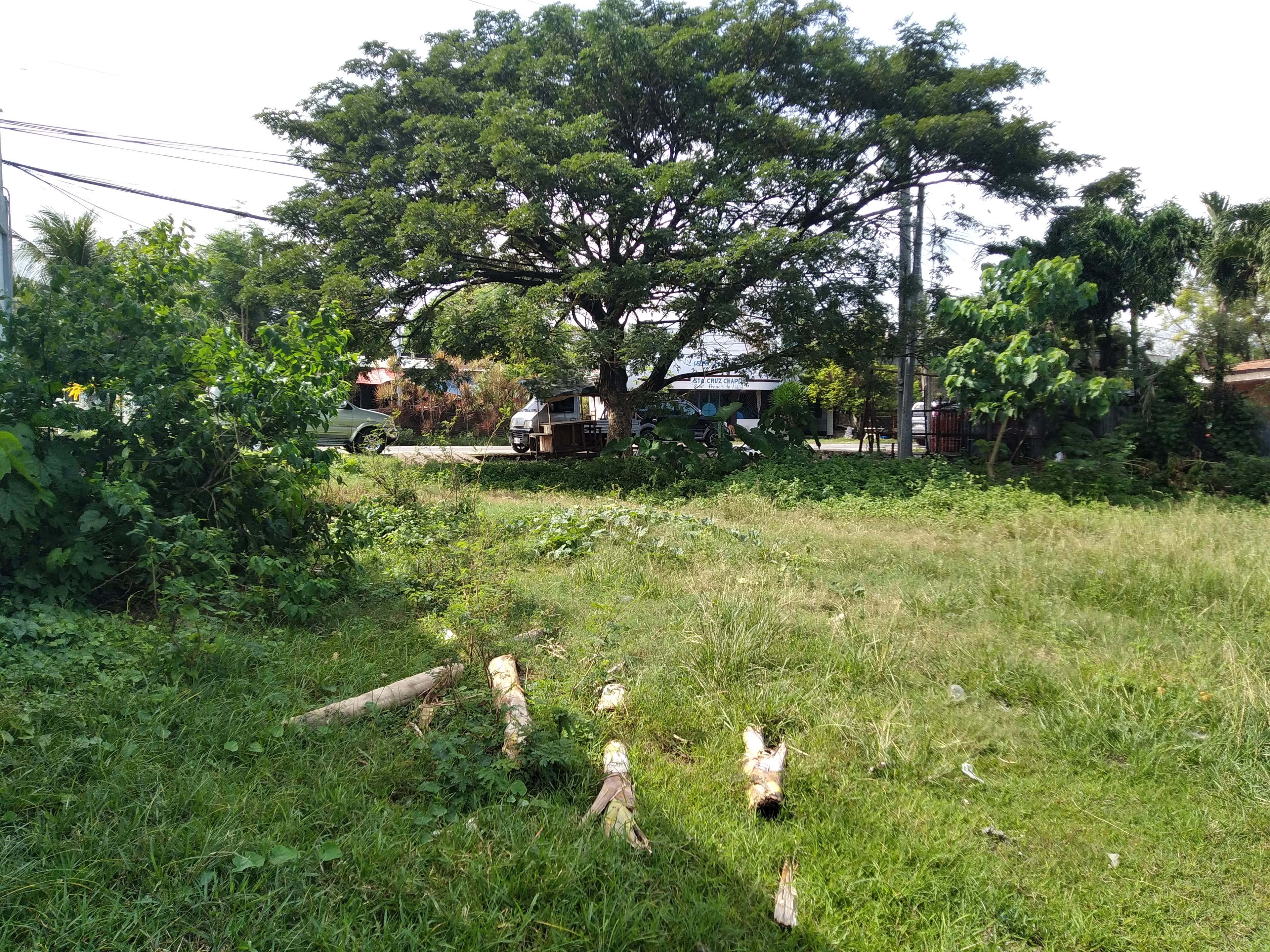 Industrial Lot for sale - photo 3