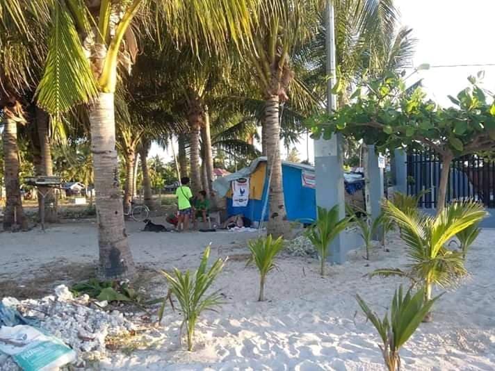 Tax declaration - photo 3