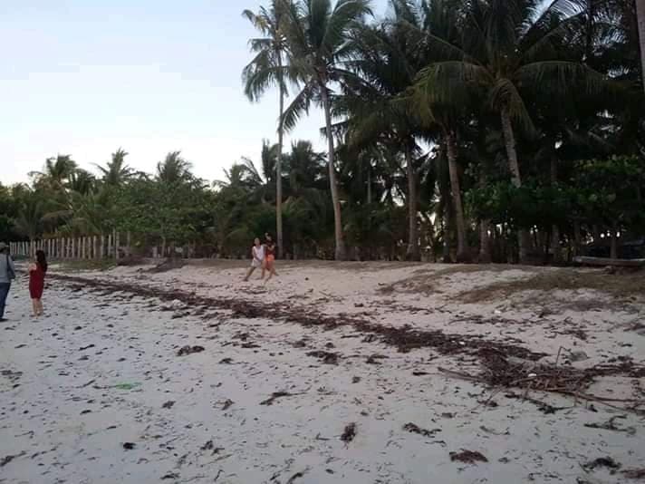 Tax declaration - photo 2