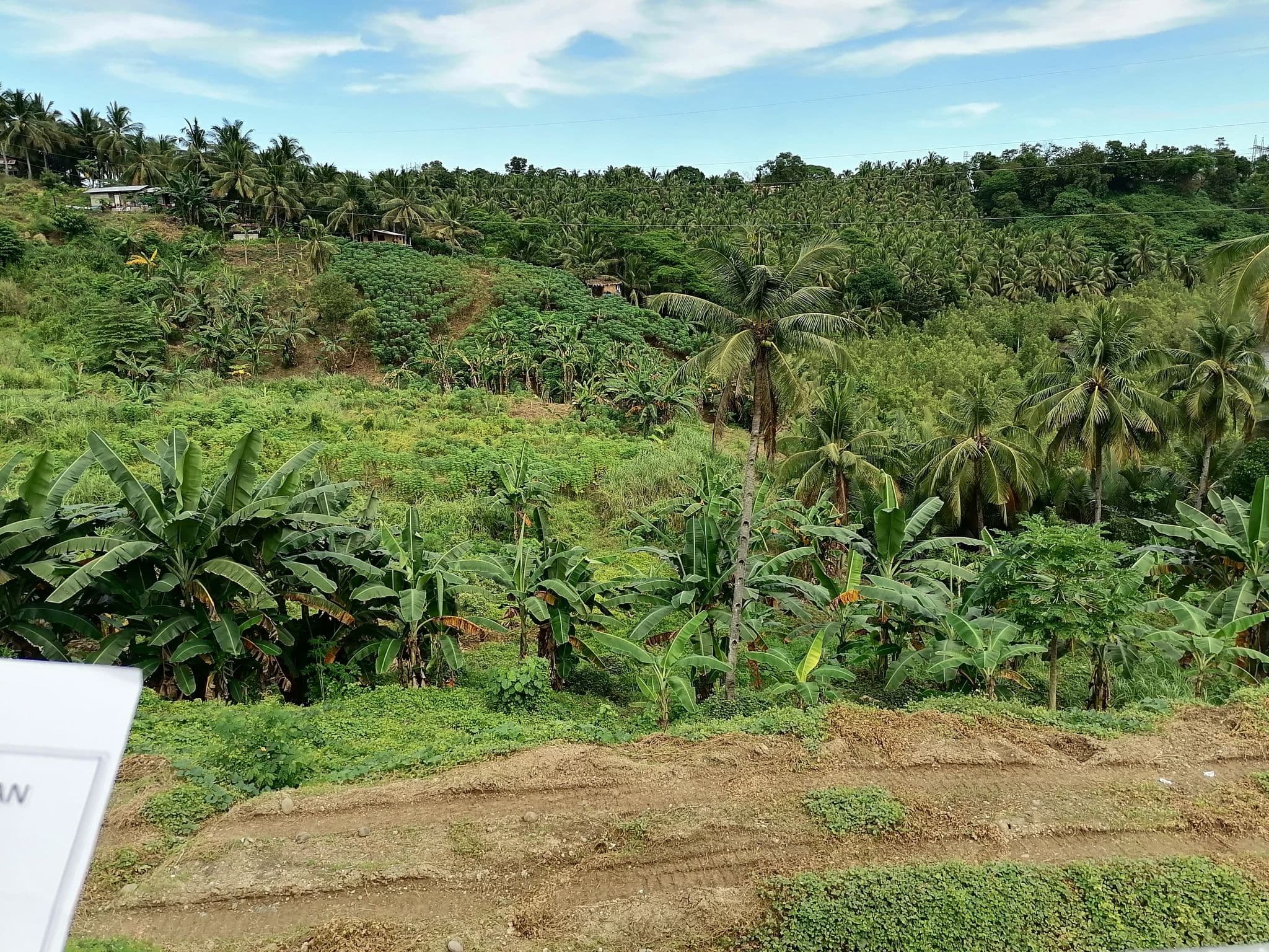 Land for SALE , Nasipit, Agusan Del Norte - photo 5