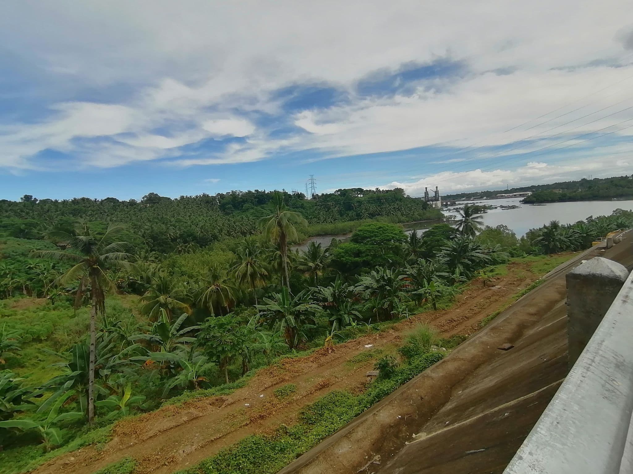 Land for SALE , Nasipit, Agusan Del Norte - photo 3