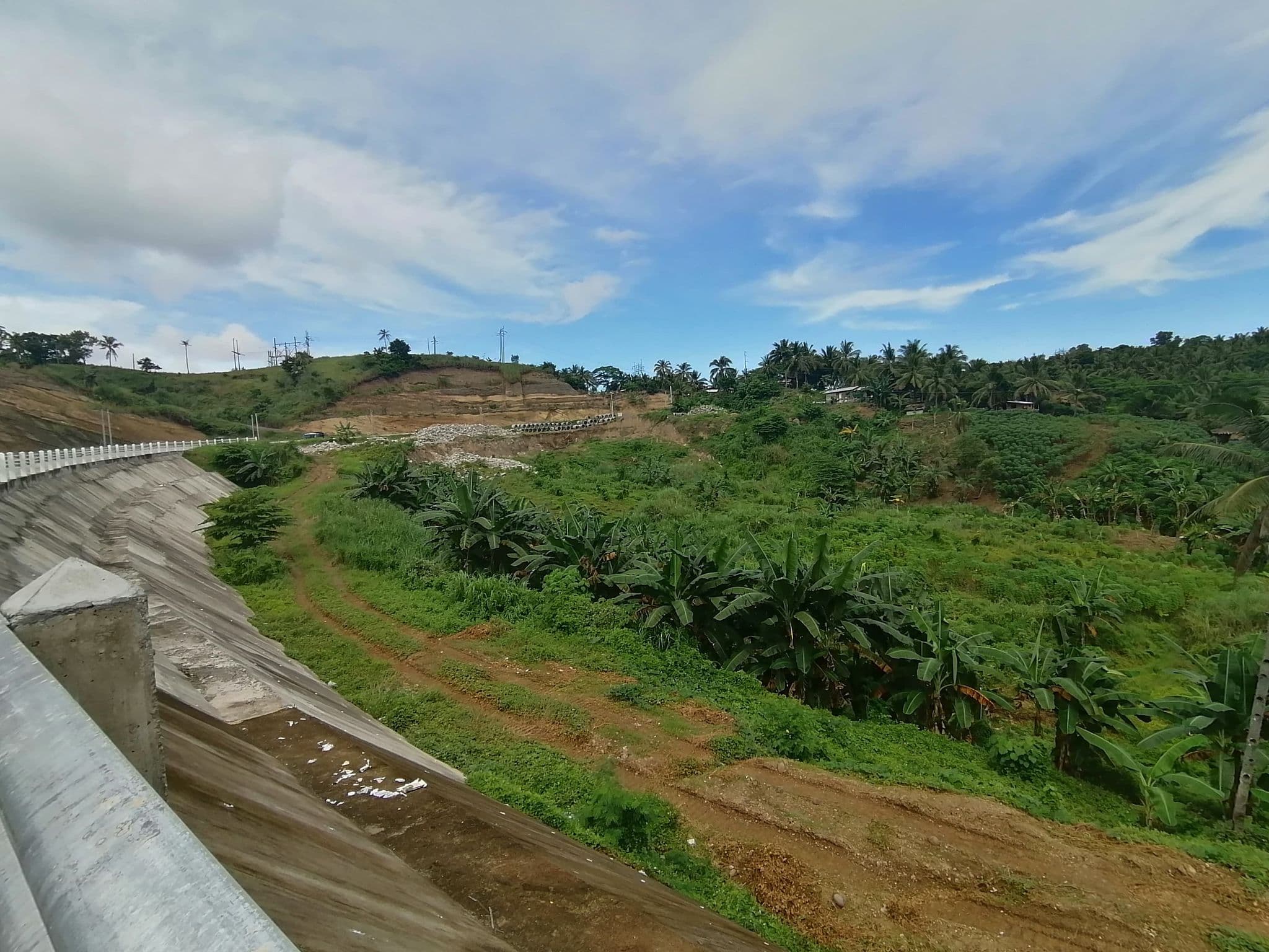 Land for SALE , Nasipit, Agusan Del Norte - photo 4