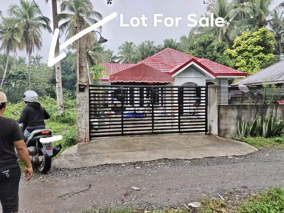 Lot for sale in Cabadbaran City - photo 5