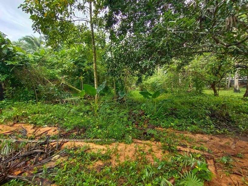 Lot for sale in Cabadbaran City - photo 2