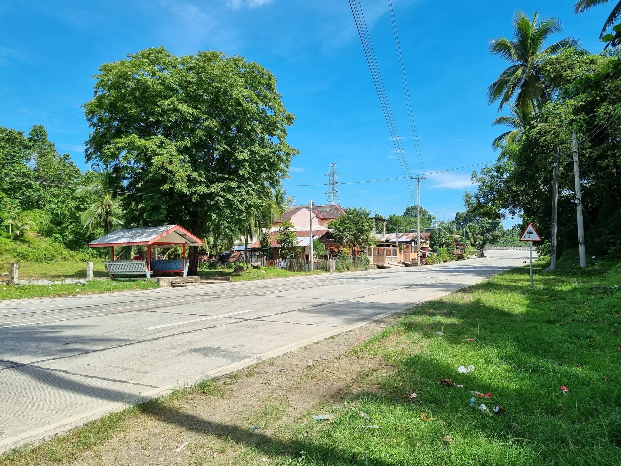 1.3 Hectares Land for Sale - photo 3