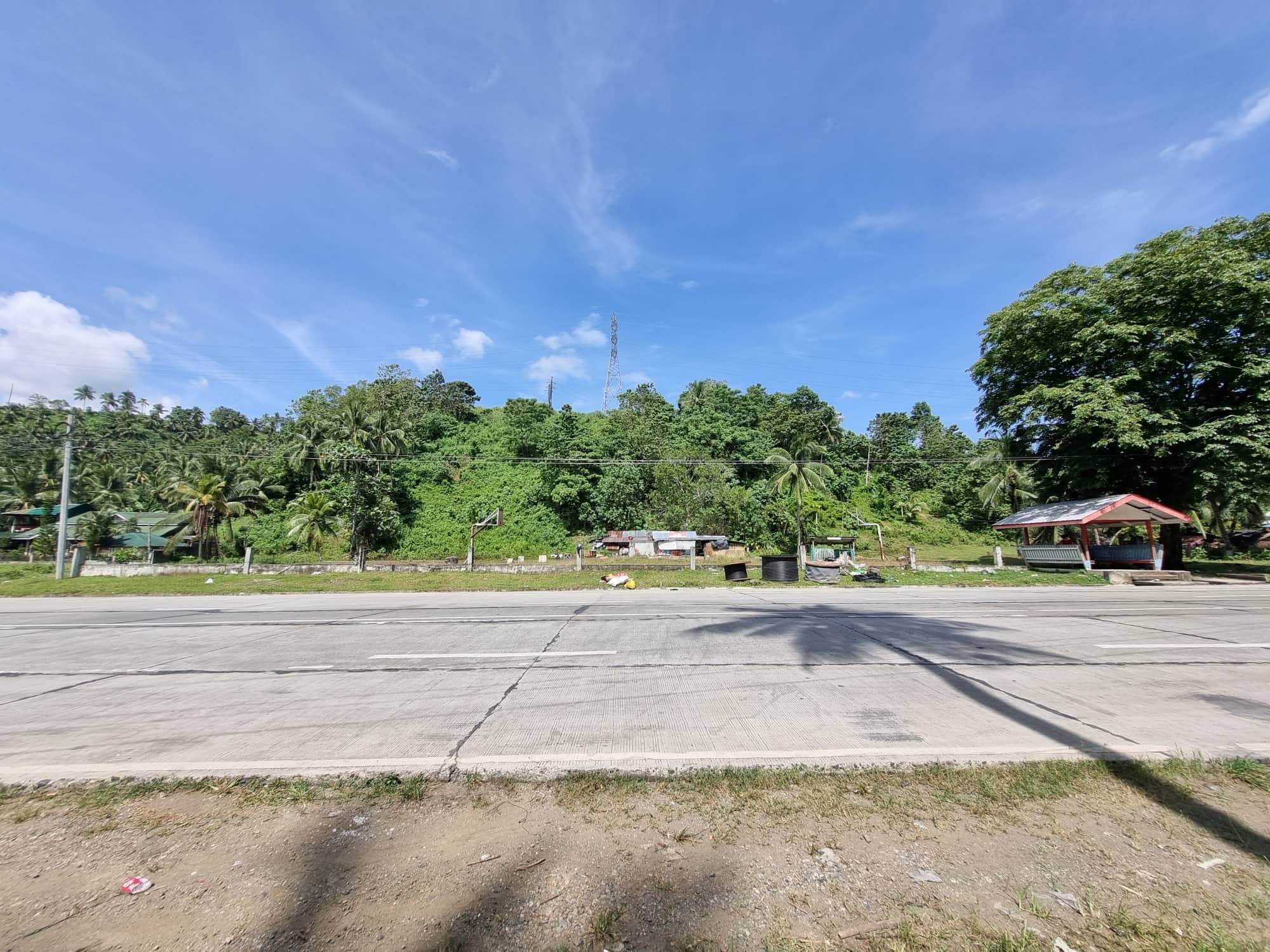 1.3 Hectares Land for Sale - photo 2
