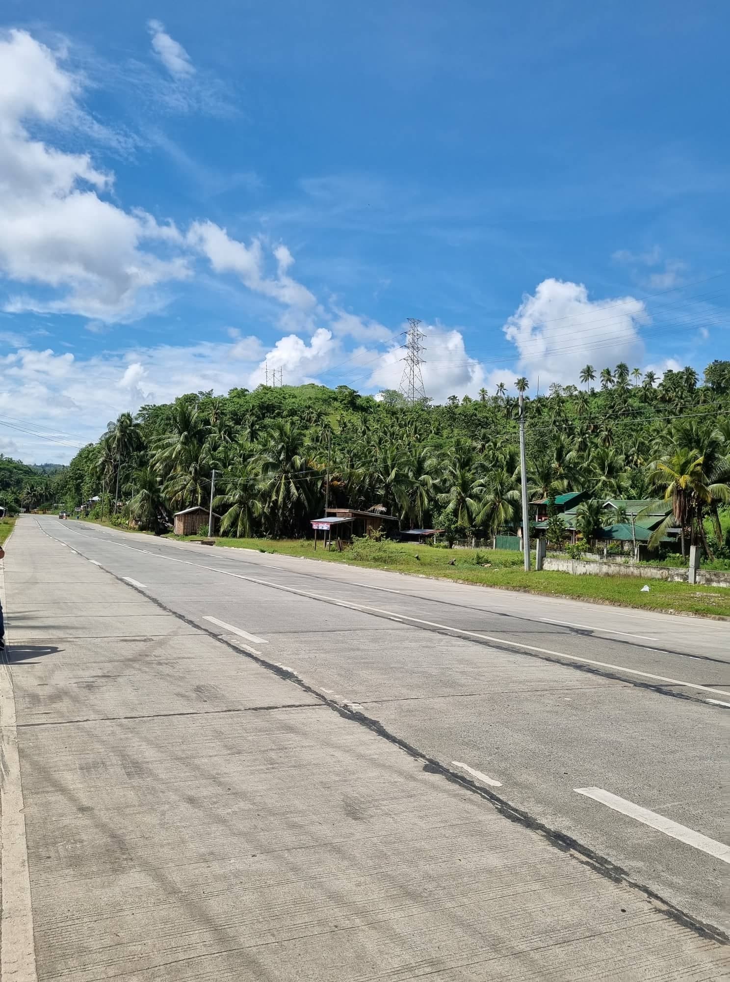 1.3 Hectares Land for Sale - photo 4