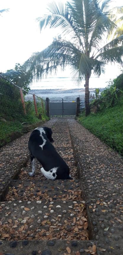 Beautiful Beach House in Siaton, Negros Oriental - photo 4