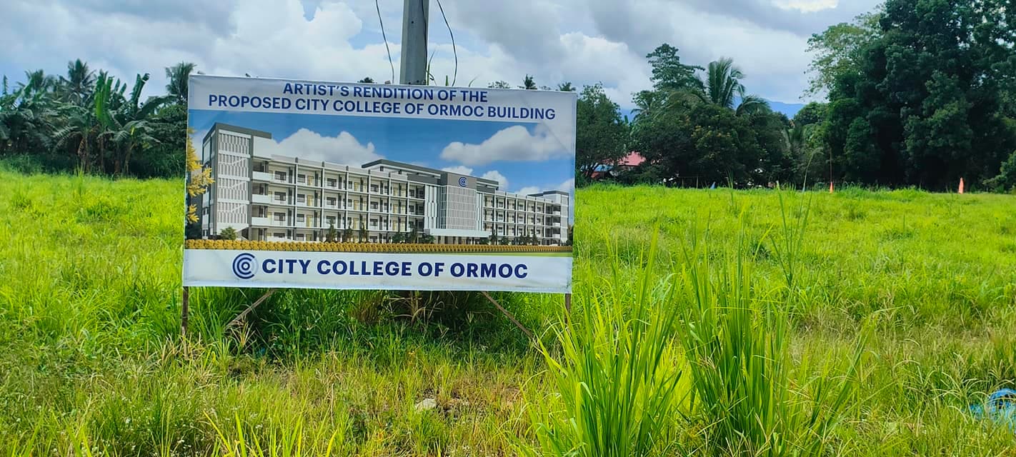 ORMOC CITY LOT FOR SALE - photo 5