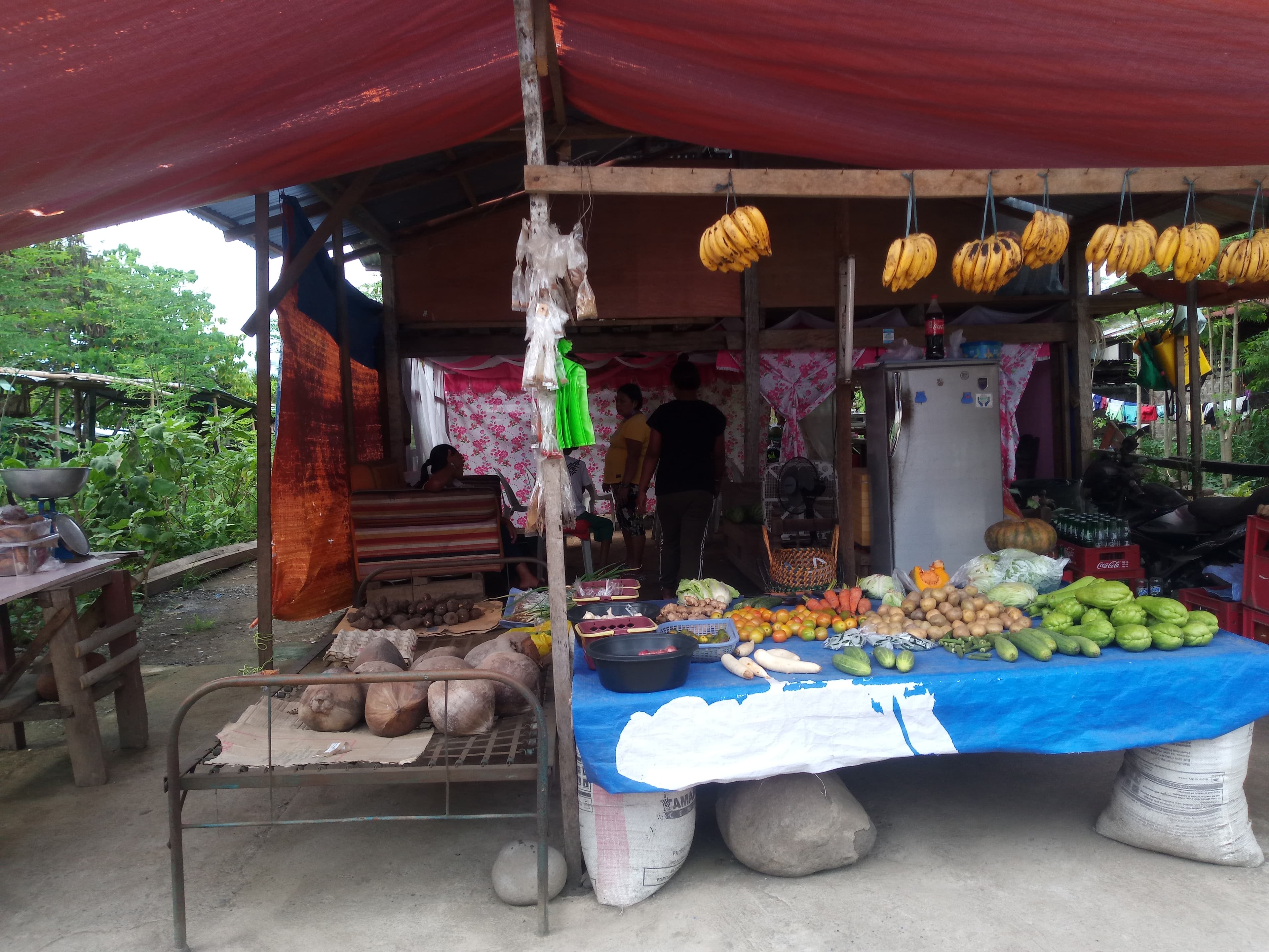 Talomo property - photo 4