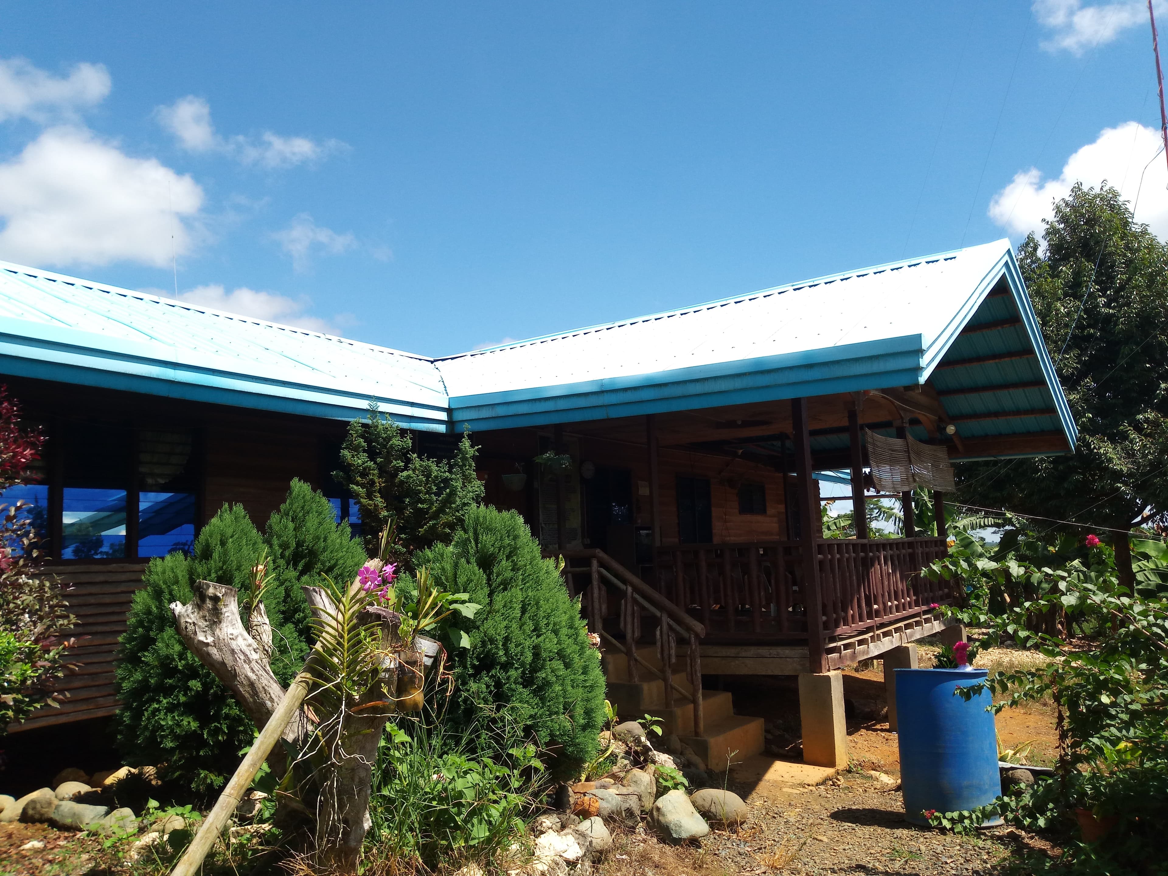 BANANA PLANTATION - photo 1