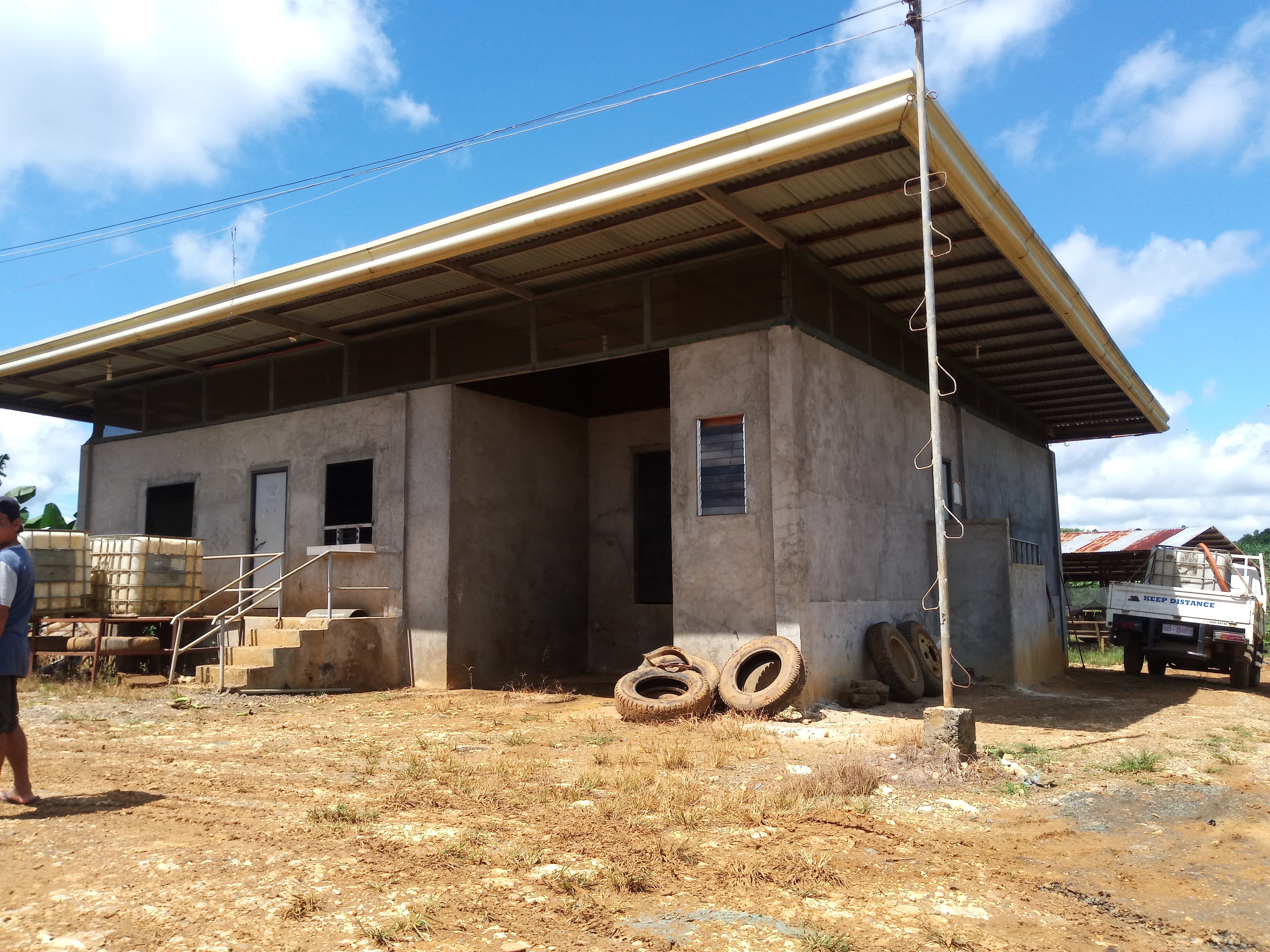 BANANA PLANTATION - photo 3