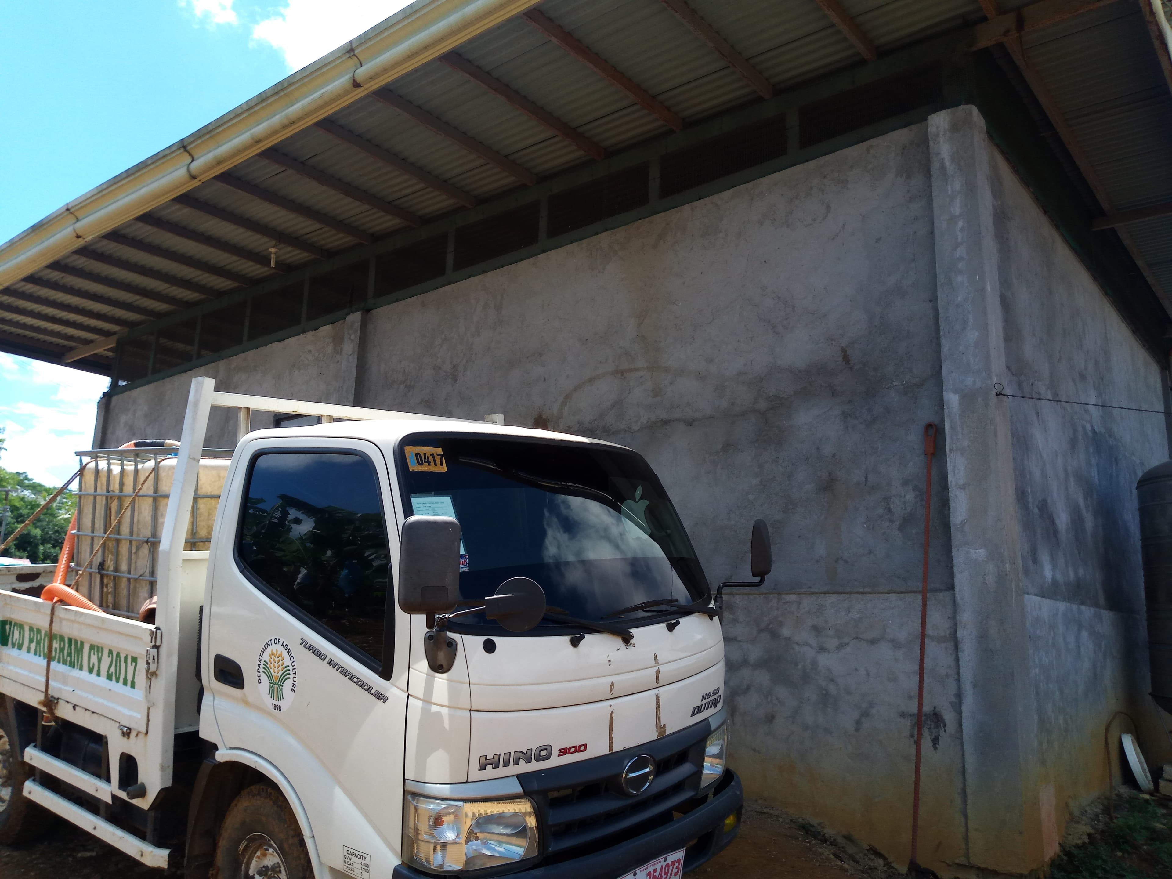 BANANA PLANTATION - photo 4