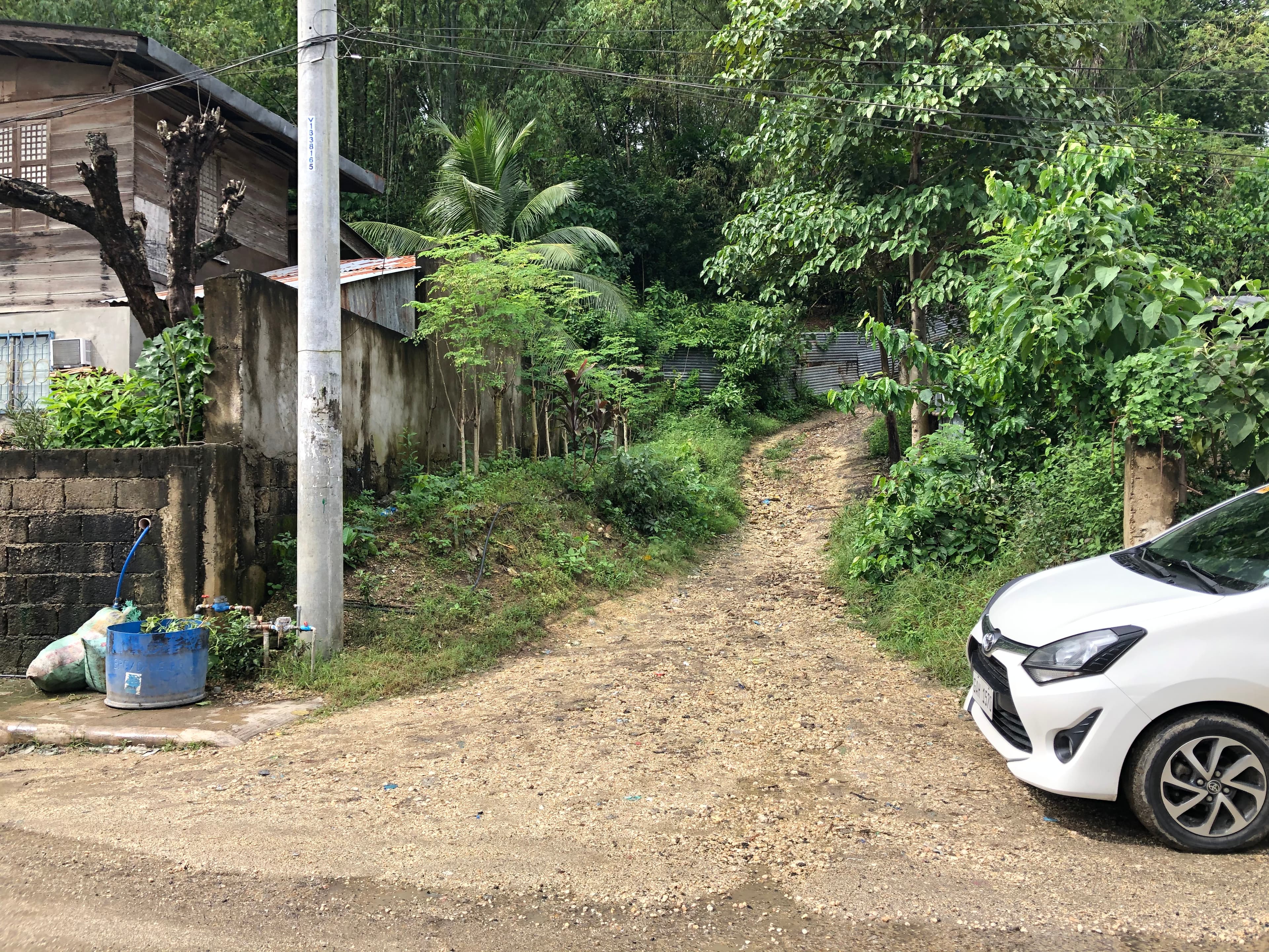 Lot for Sale Ideal for Warehouse or Pocketsized Subdivision - photo 2