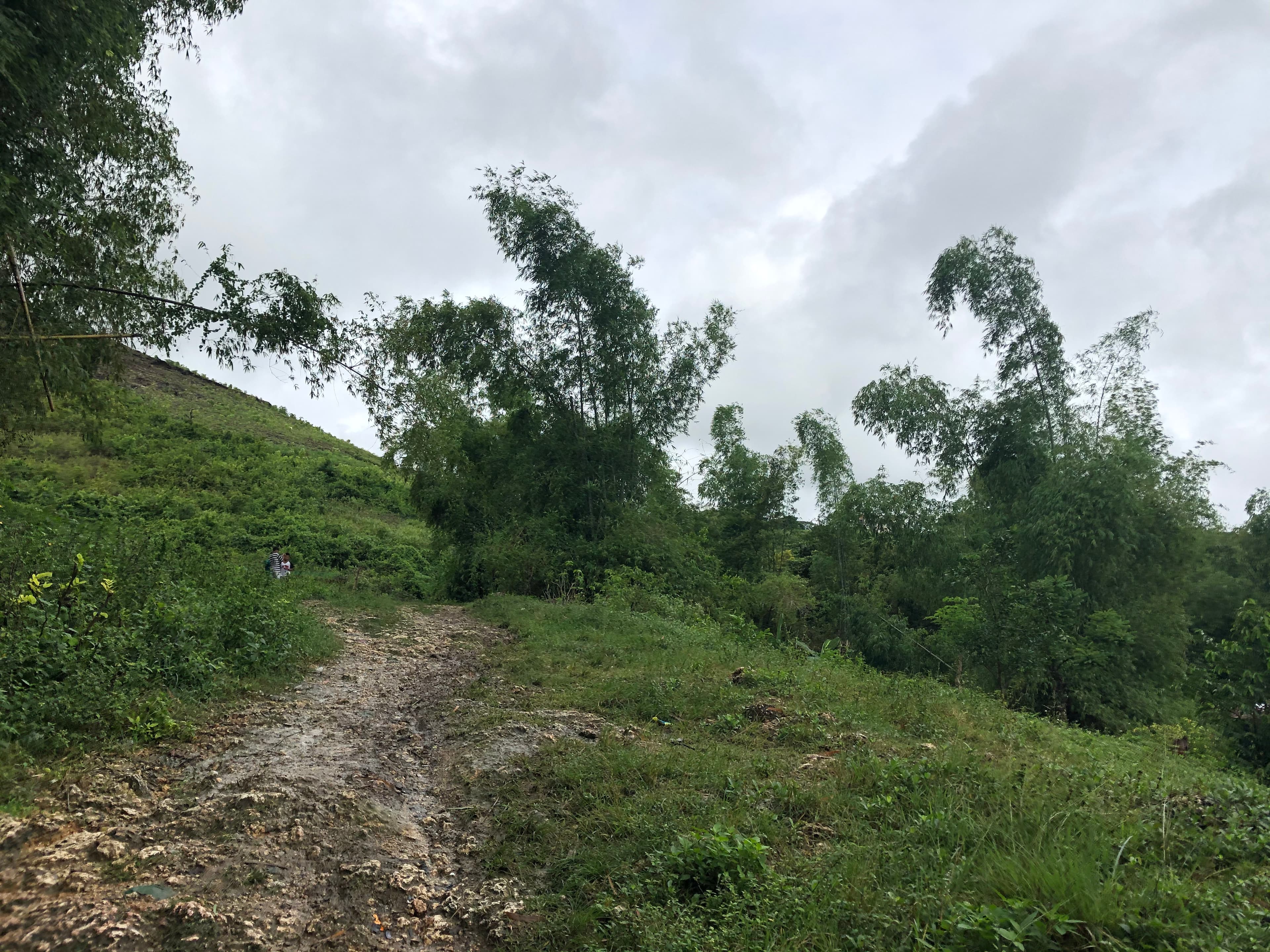 Lot for Sale Ideal for Warehouse or Pocketsized Subdivision - photo 3