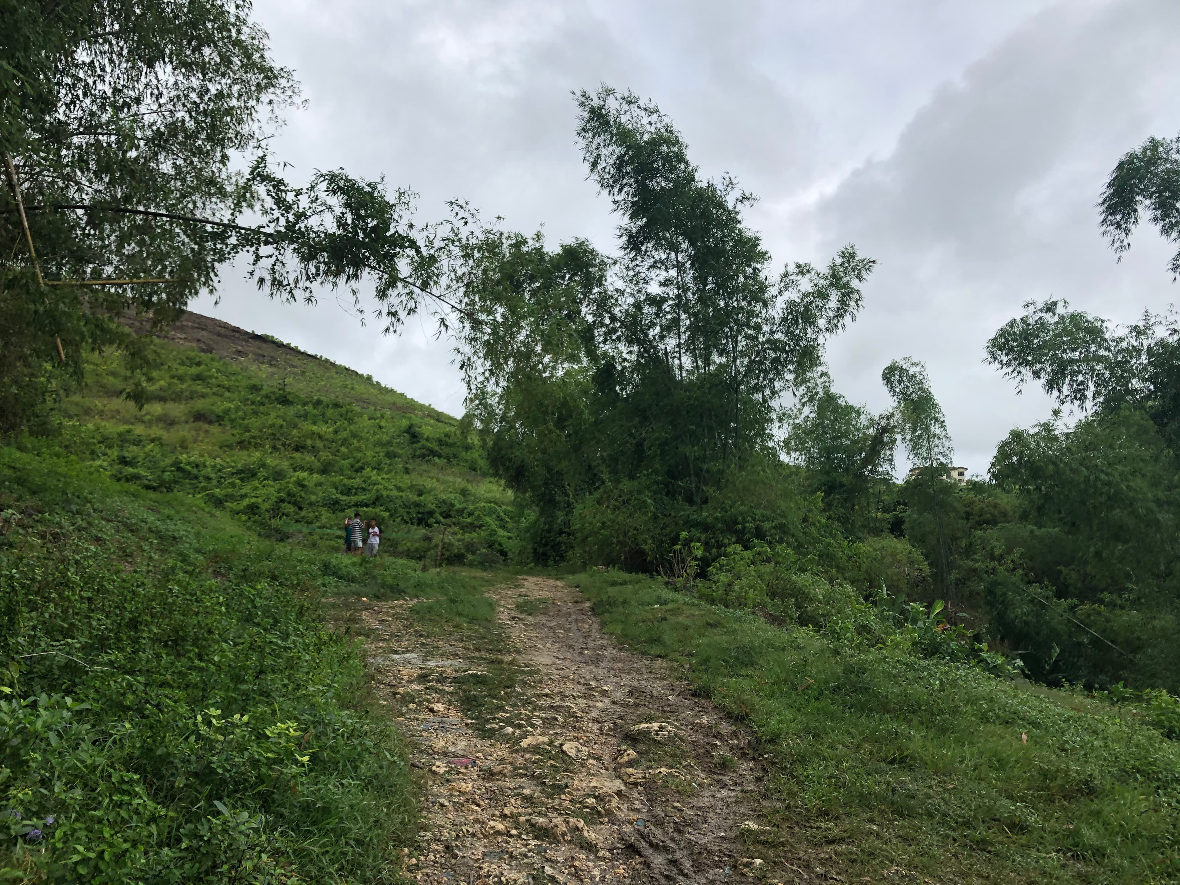 Lot for Sale Ideal for Warehouse or Pocketsized Subdivision