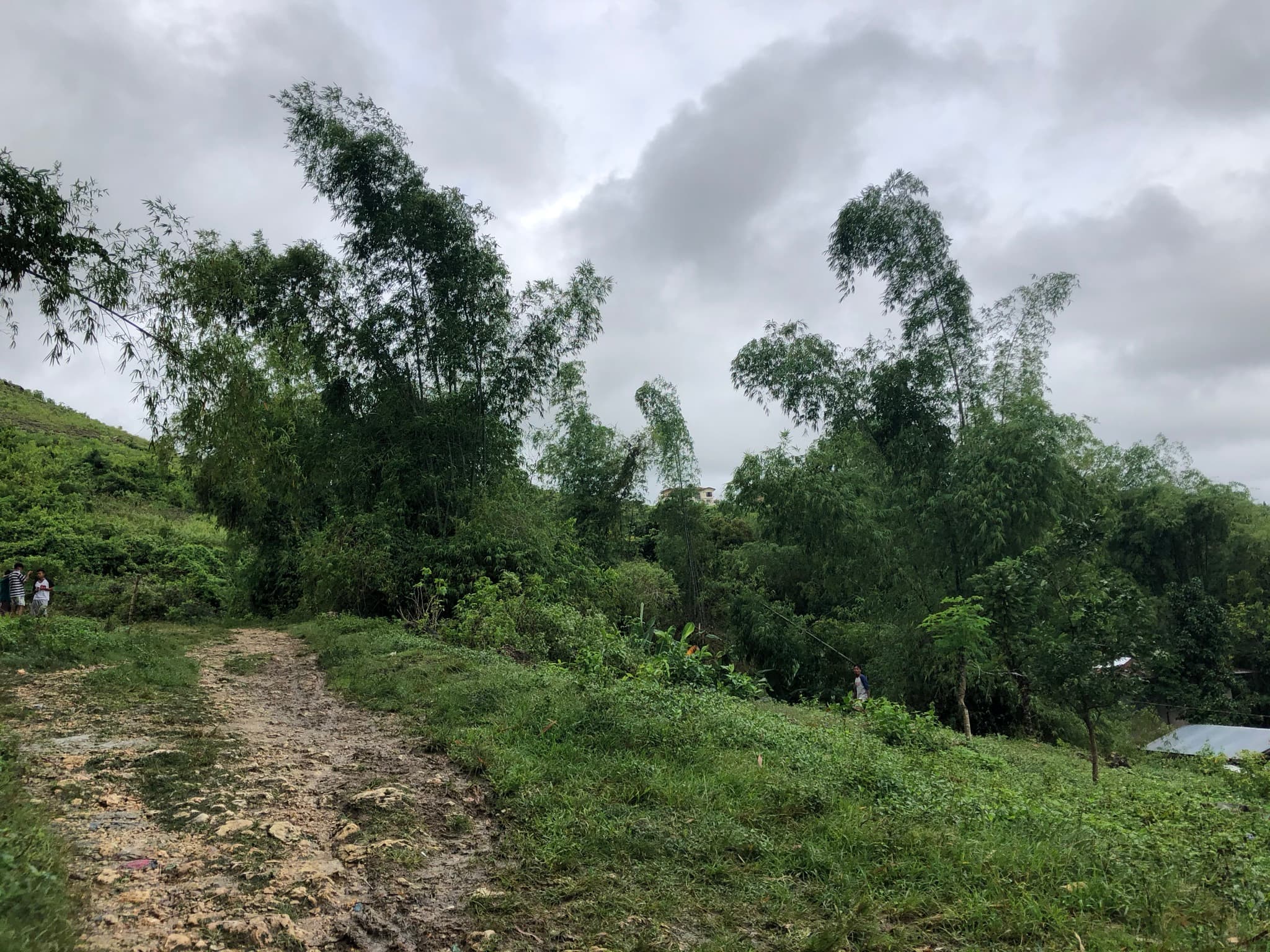 Lot for Sale Ideal for Warehouse or Pocketsized Subdivision - photo 5