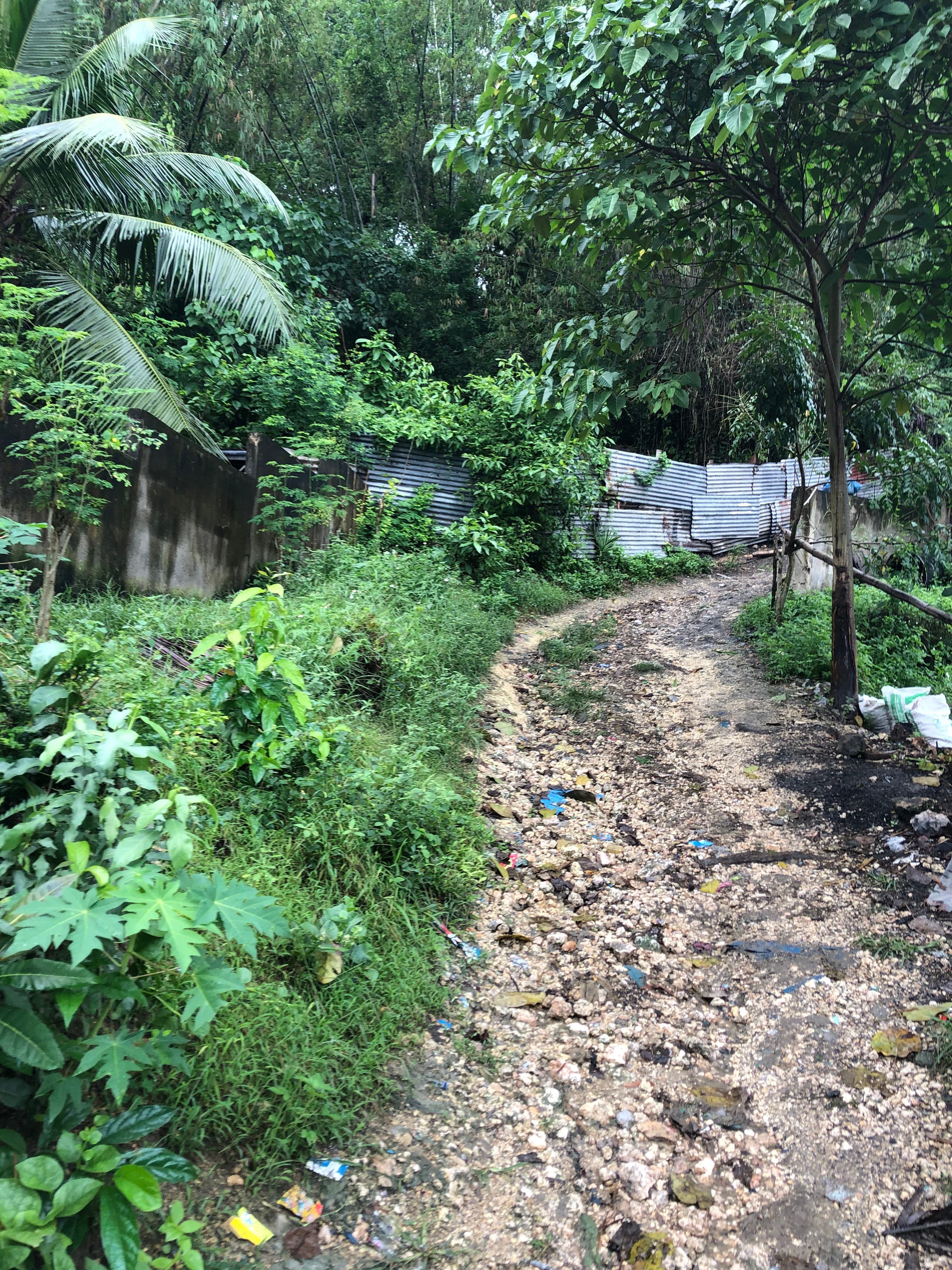 Lot for Sale Ideal for Warehouse or Pocketsized Subdivision - photo 4