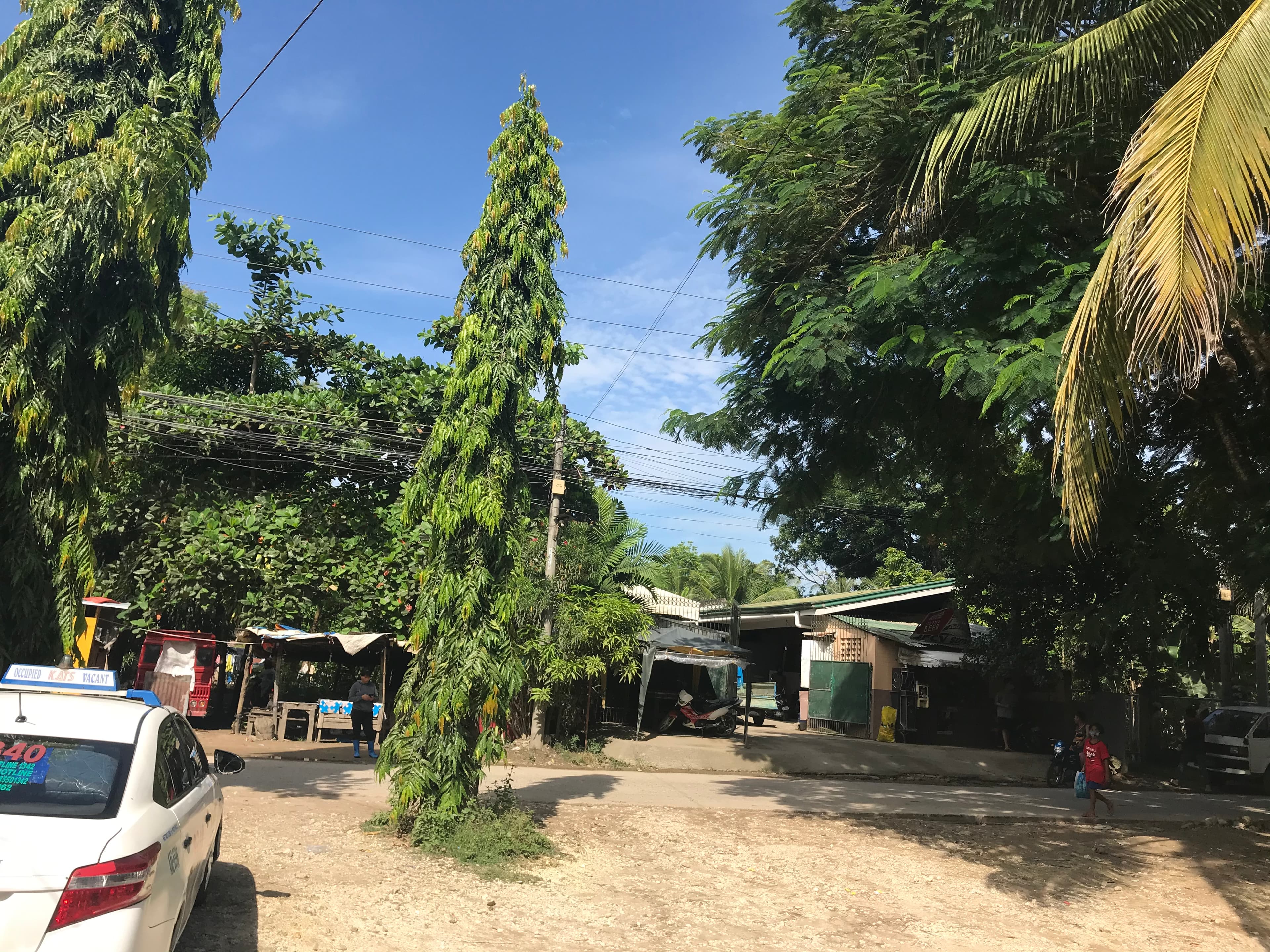 Lot for Sale Ideal for Warehouse - photo 2