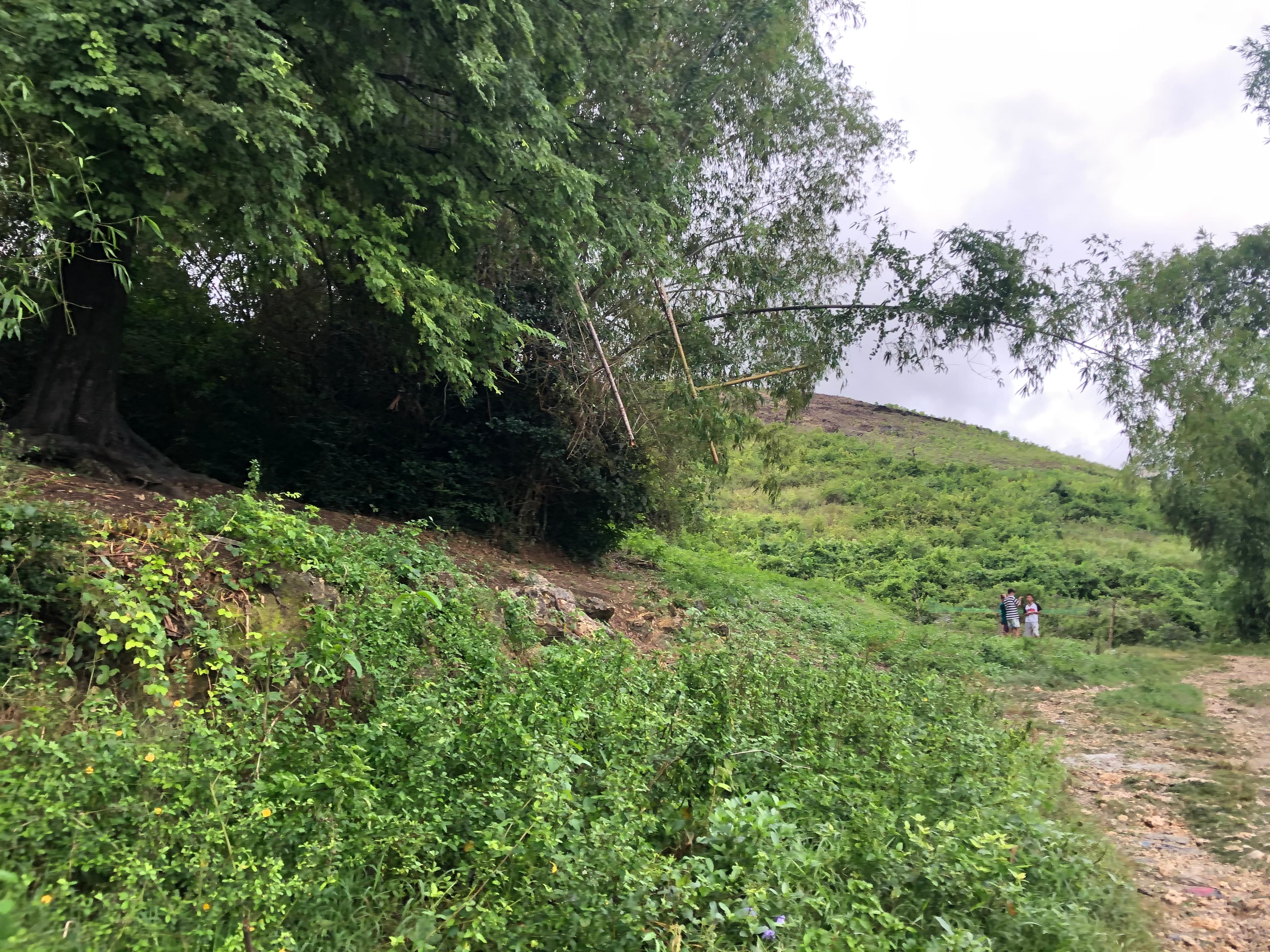 Lot for Sale Ideal for Warehouse or Residential