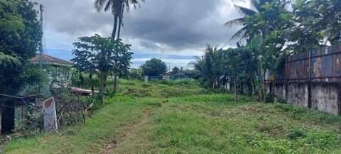 Lot for Sale Ideal for Warehouse or Factory - photo 4