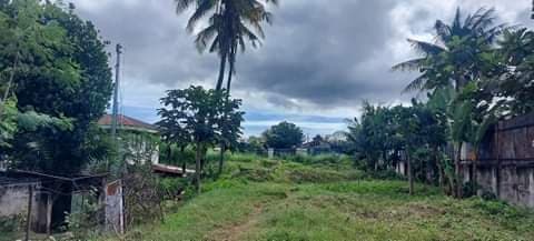 Lot for Sale Ideal for Warehouse or Factory - photo 5