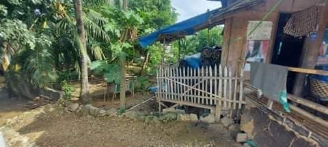 Lot for Sale - photo 4