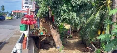 Lot for Sale - photo 3