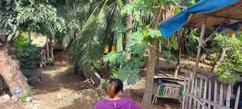 Lot for Sale - photo 5